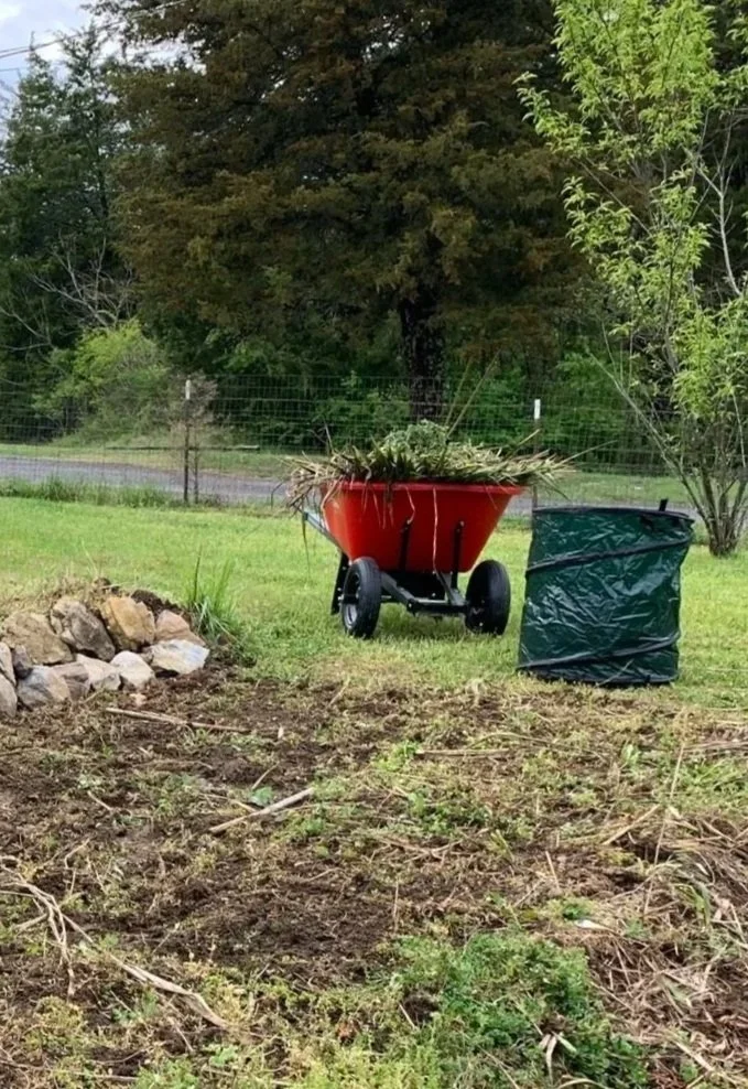 A red wheelbarrow filled with weeds, positioned on a grassy slope, with a green yard debris bag next to it. There's a backdrop of trees and a wire fence.
