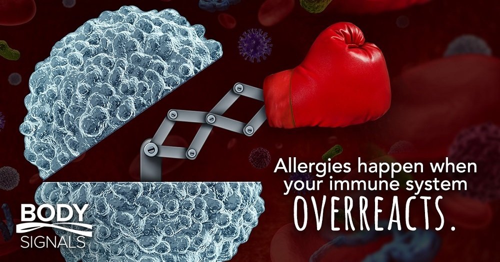 What Are Allergies?