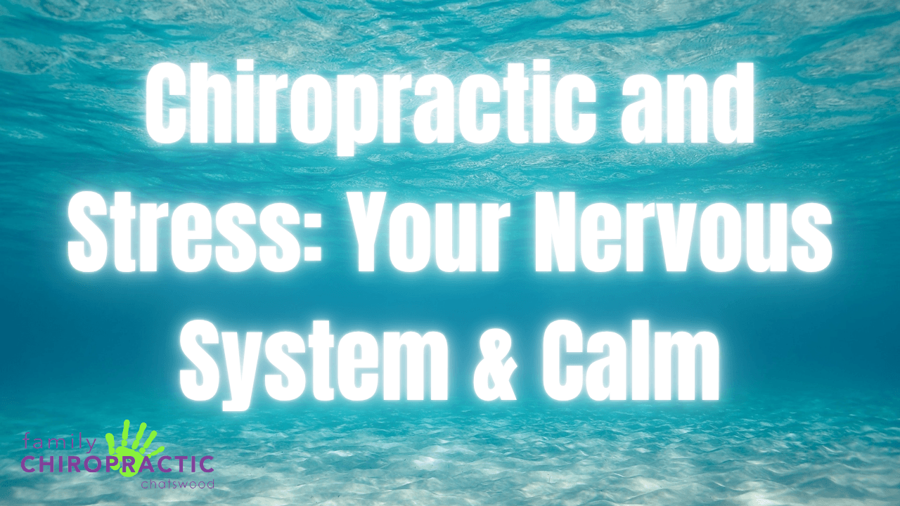 Chiropractic and Stress: Your Nervous System &amp; calm | Chatswood Guide