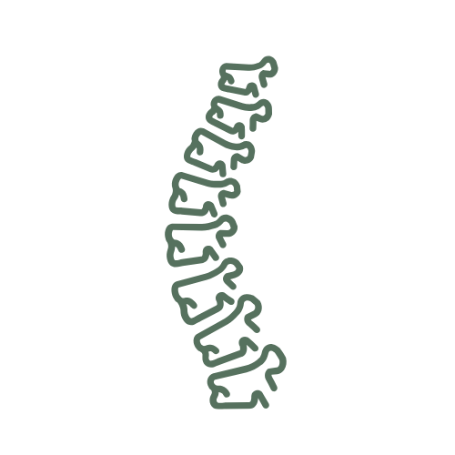 Posture and Scoliosis  treatment at Family Chiropractic Chatswood