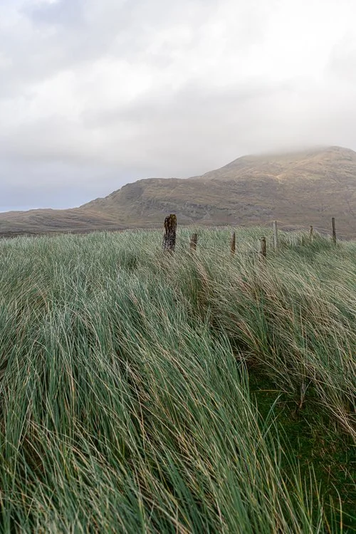 ard-bia-galway-art-cliodhna-prendergast-2025-15.jpg
