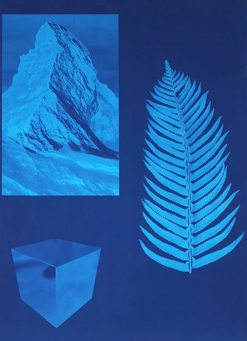 A digitally edited blue-toned collage with a mountain, a fern leaf, and a cube.