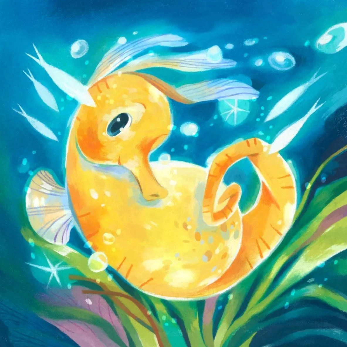 dad seahorse and the miracle