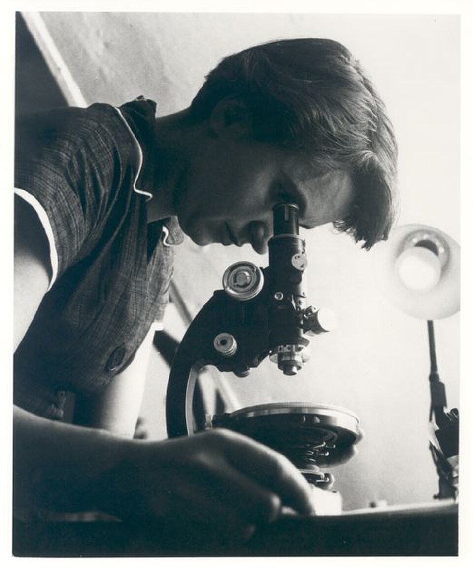 Rosalind Franklin mit Mikroskop
