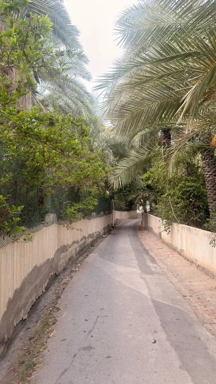 walkaway along th farms 