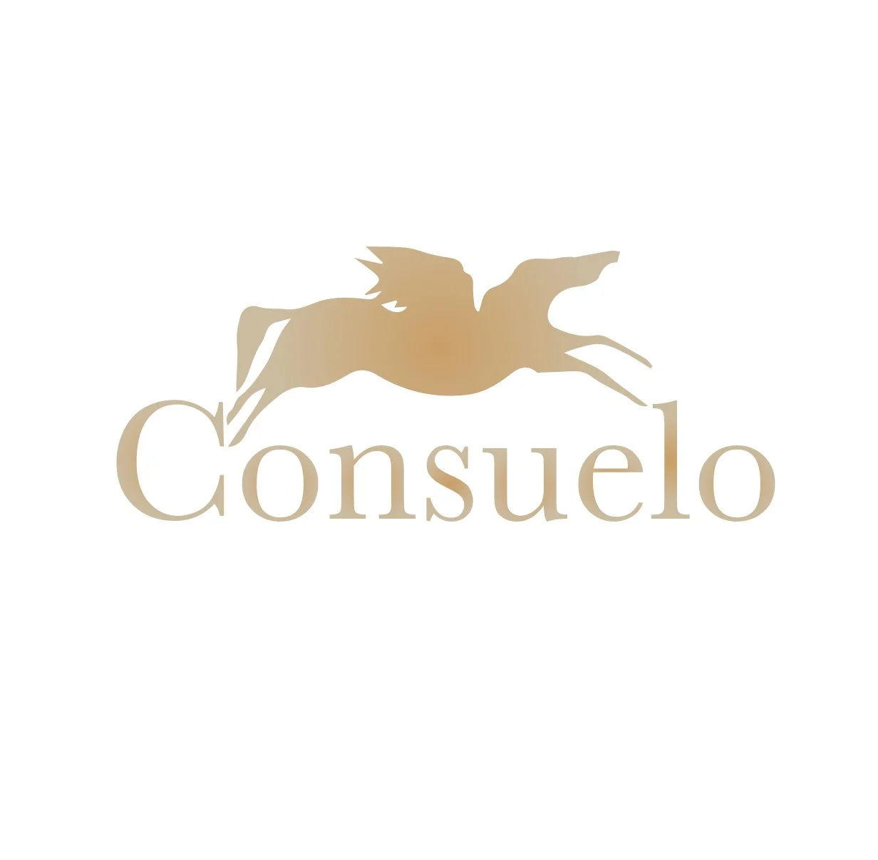 Consuelo Logo-01.jpg