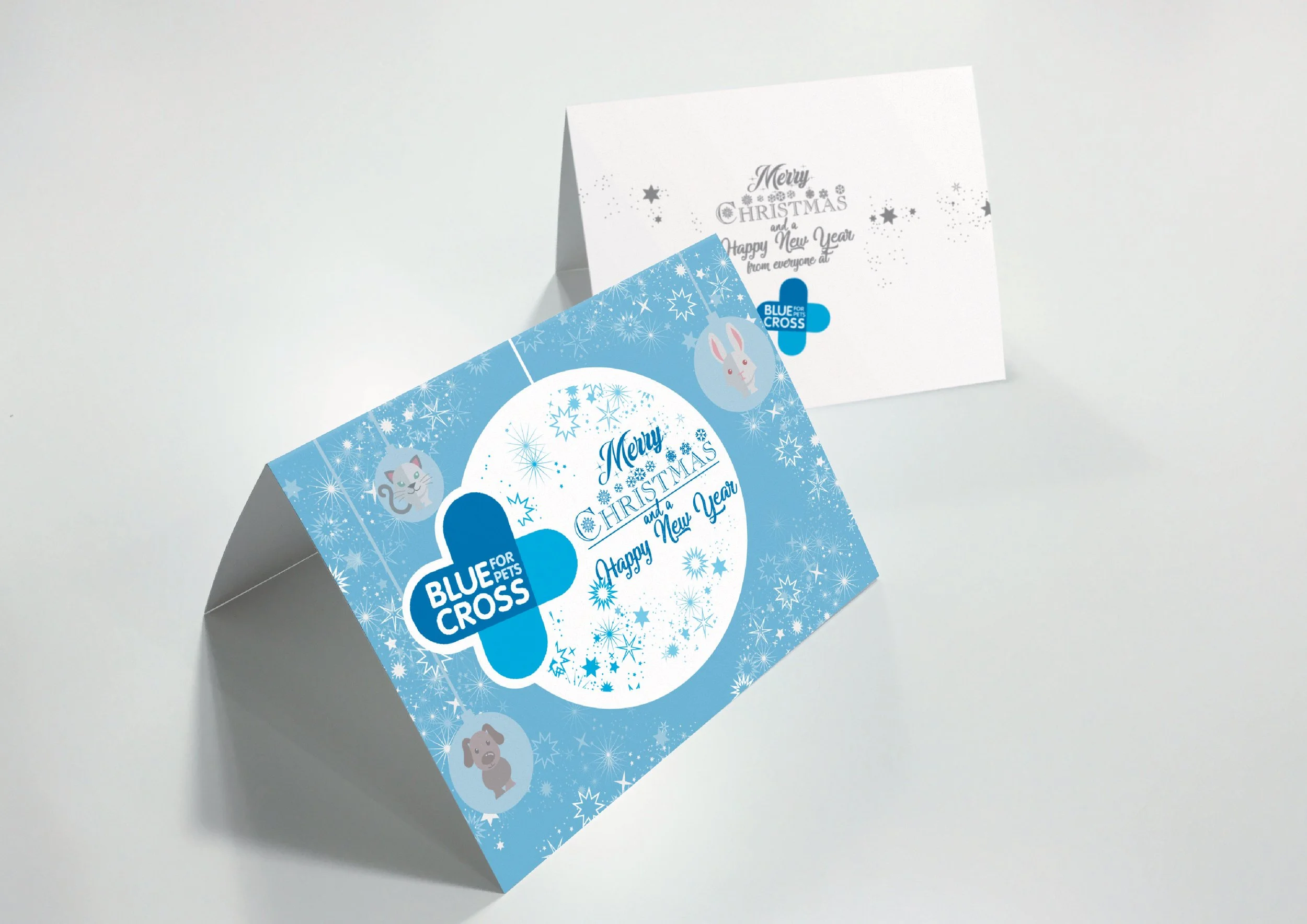 BLUECROSS web-01.jpg