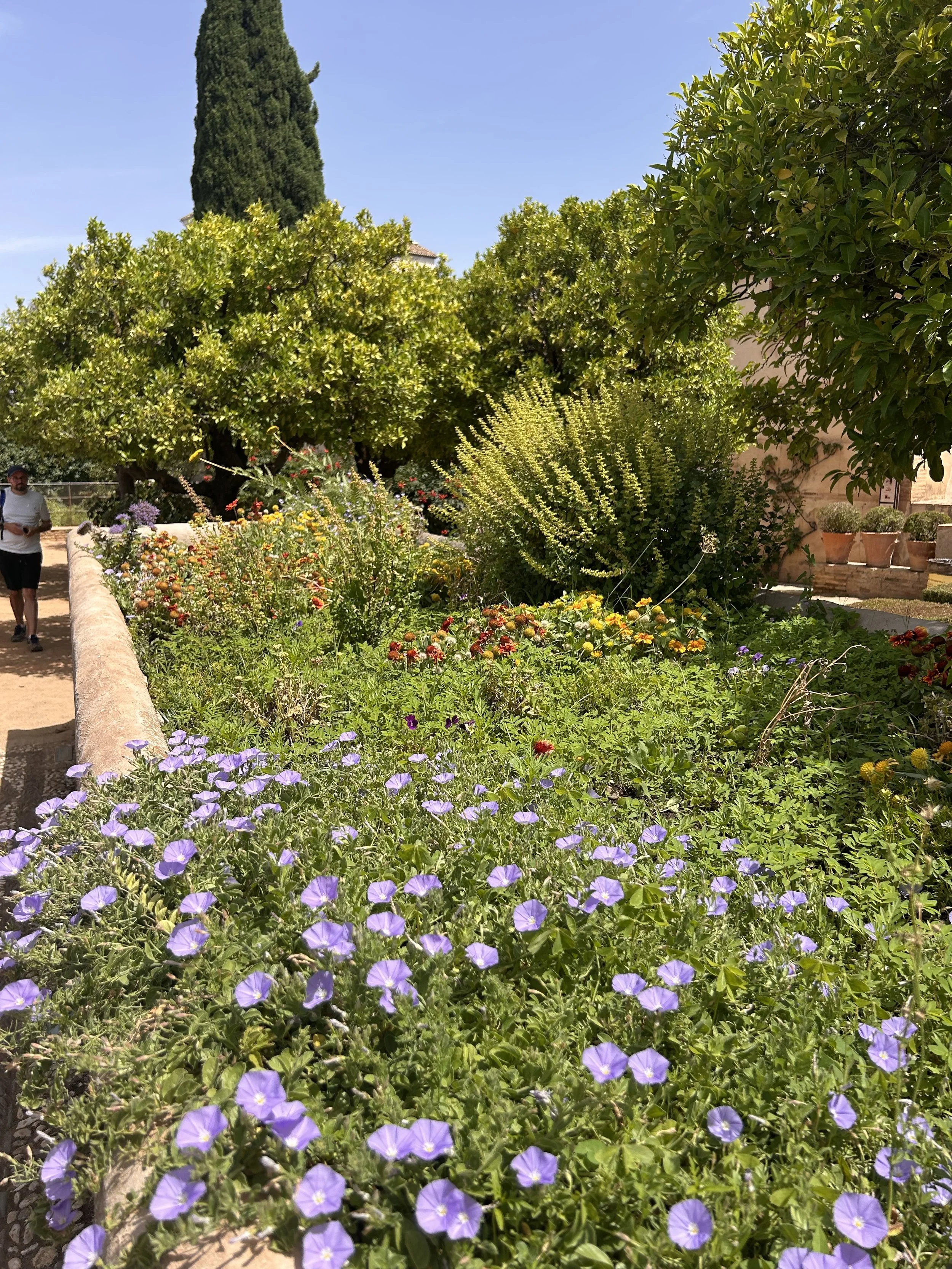 IMG_3512.jpeg