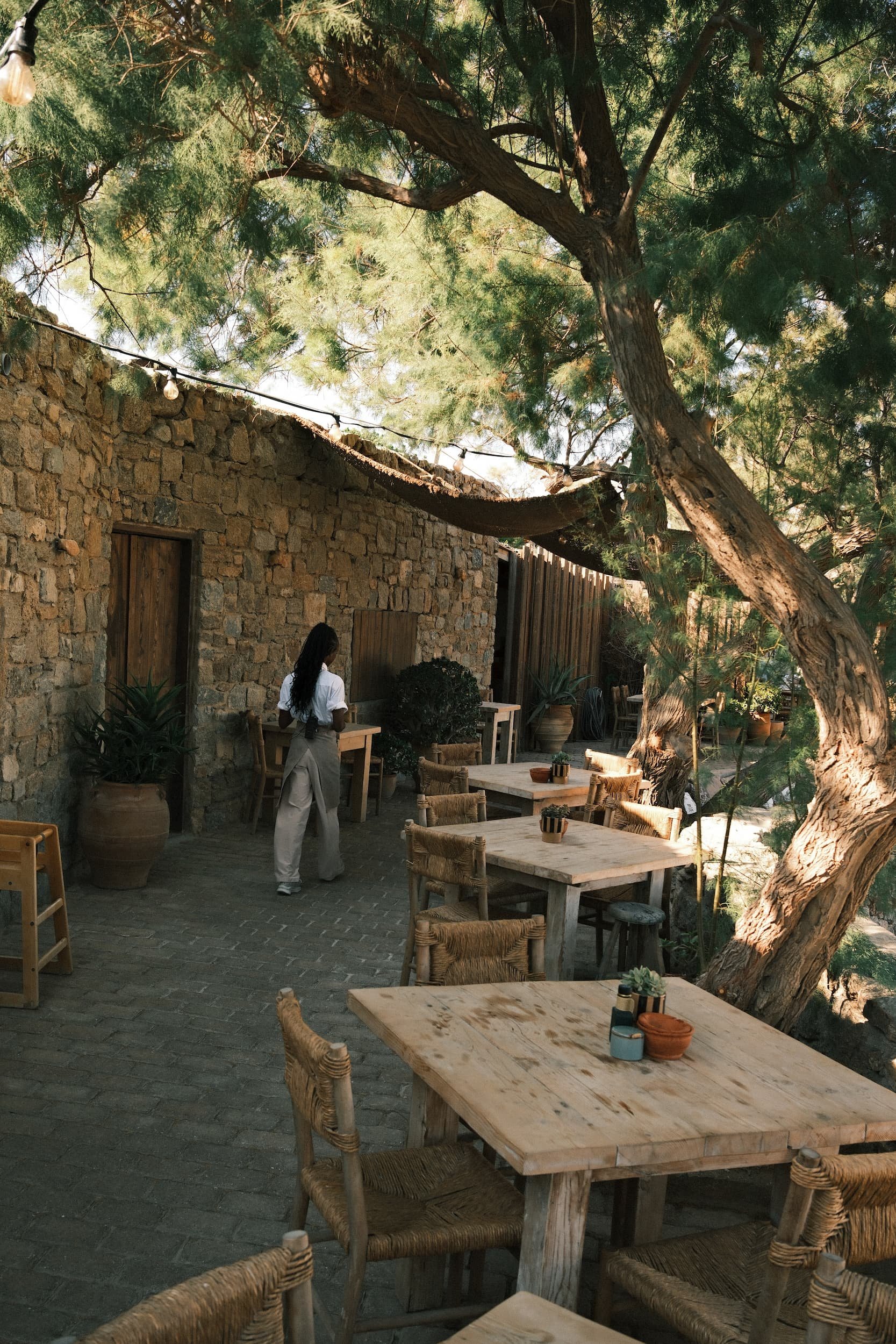 An outdoor dining area with wooden tables and chairs, surrounded by potted plants and a large tree with green foliage providing shade. A stone wall and a woman with long dark hair in a white top and beige pants are visible.