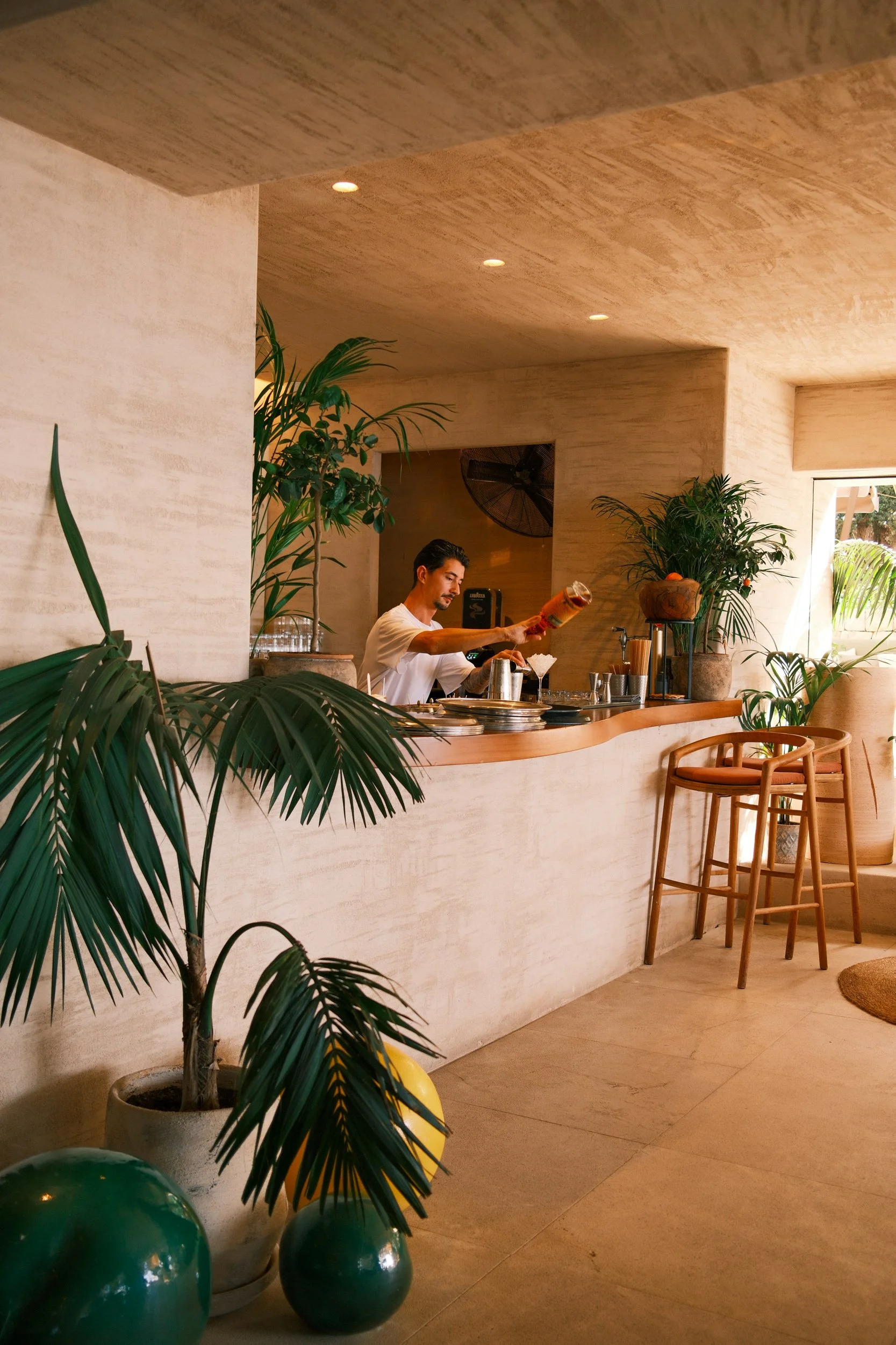 A bar with a bartender preparing a drink, surrounded by green potted plants and balloons, in a well-lit, modern, and minimalist interior with wooden accents.