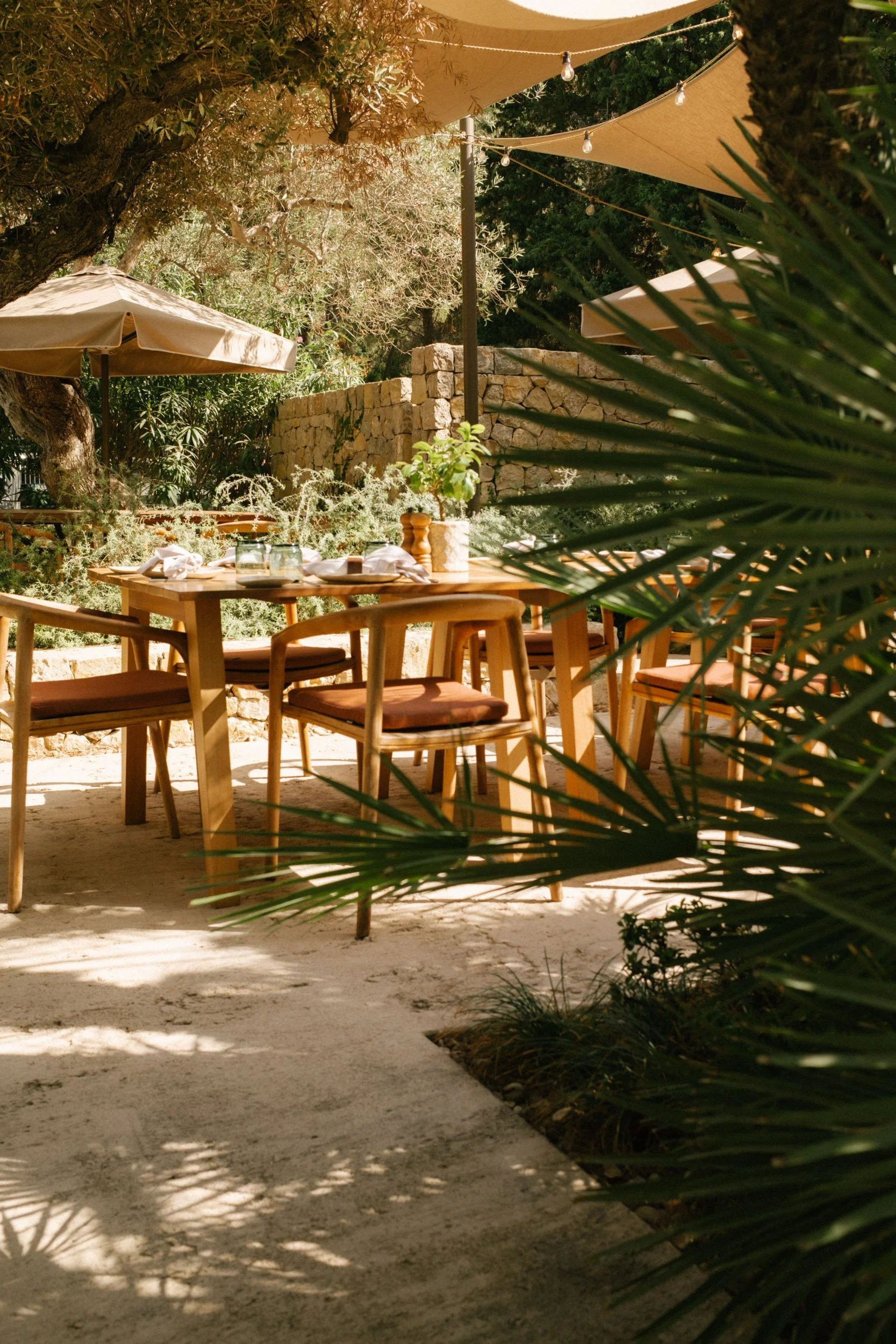 Empty outdoor dining area with wooden tables and chairs under large beige umbrellas, surrounded by lush green plants and trees with shade shadows on the ground.