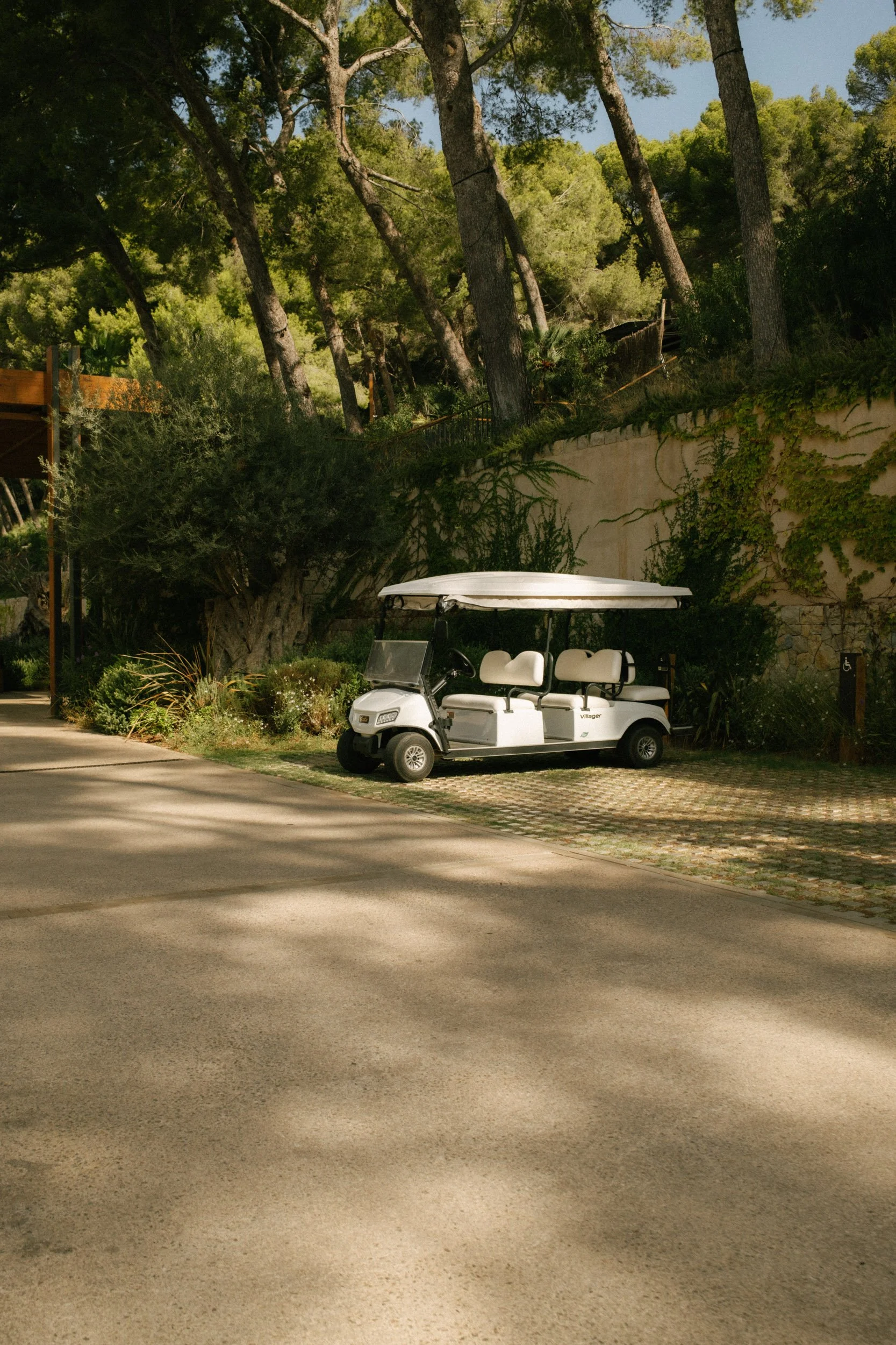A white golf cart parked on a paved area next to landscaping with trees and bushes, a stone wall with climbing ivy, and a clear sky overhead.