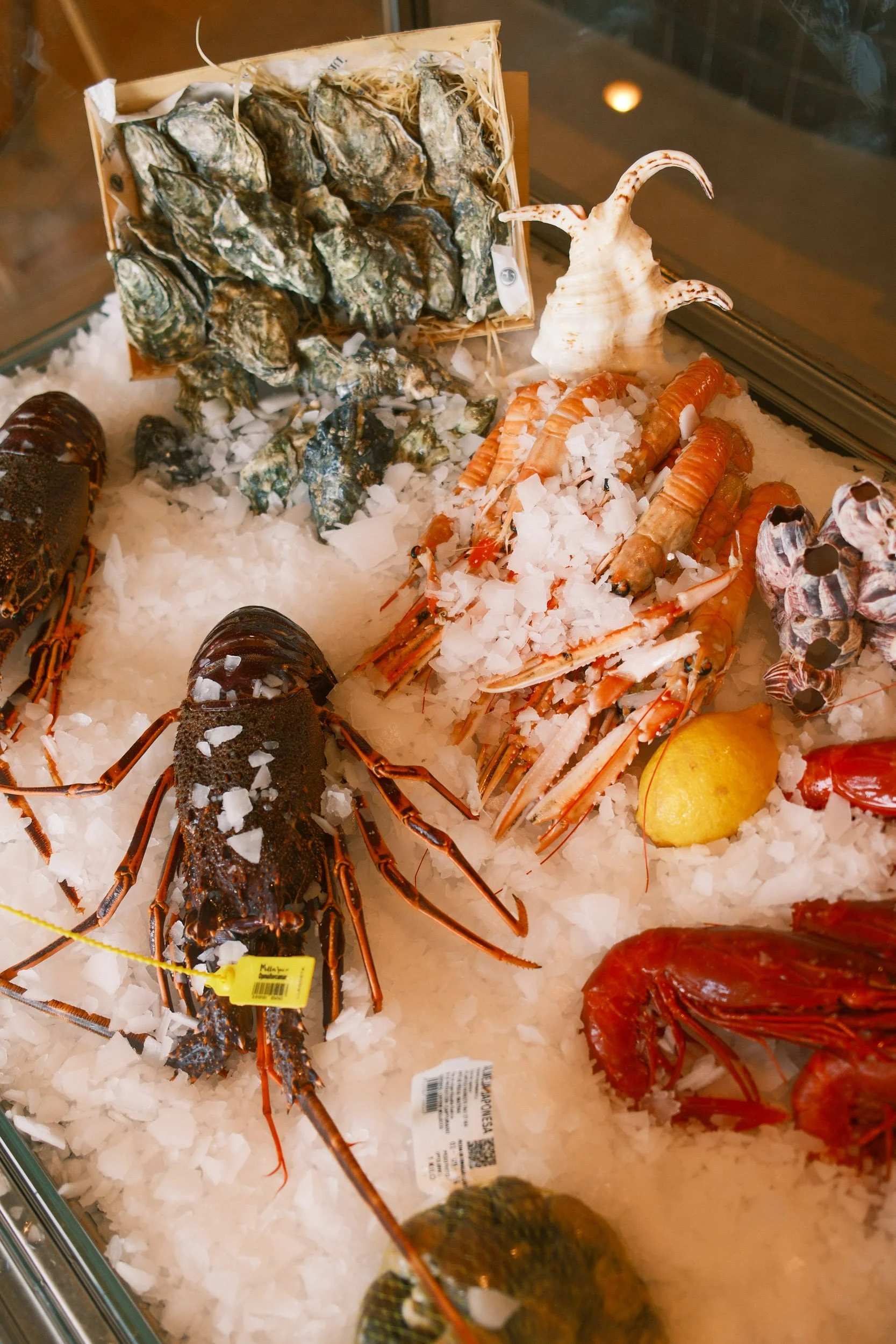 Lobster and oysters on ice at a seafood counter, with a large oyster shell and a lemon visible.