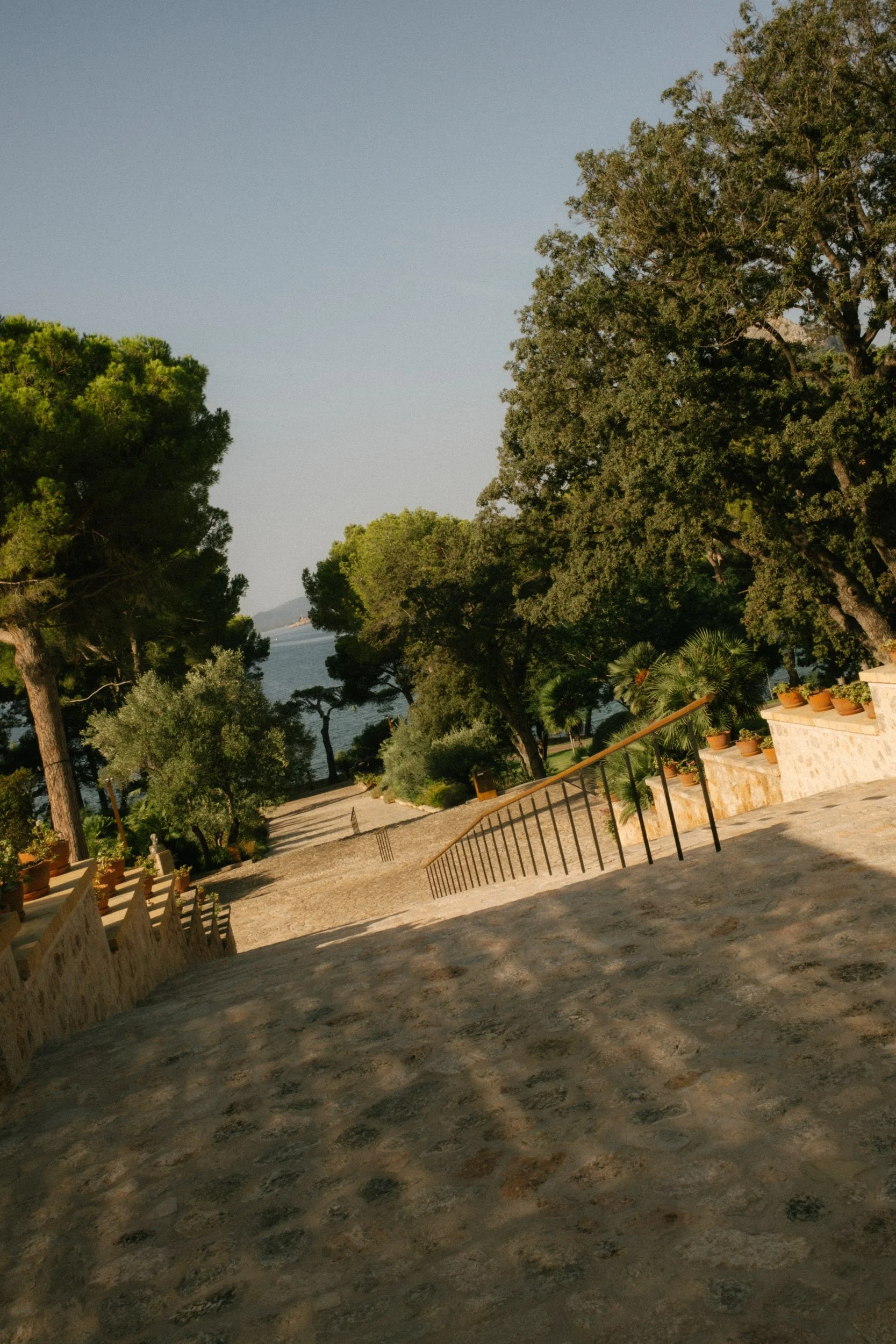 A scenic view of trees lining a pathway leading to the sea, with a mountain in the background and a clear sky.