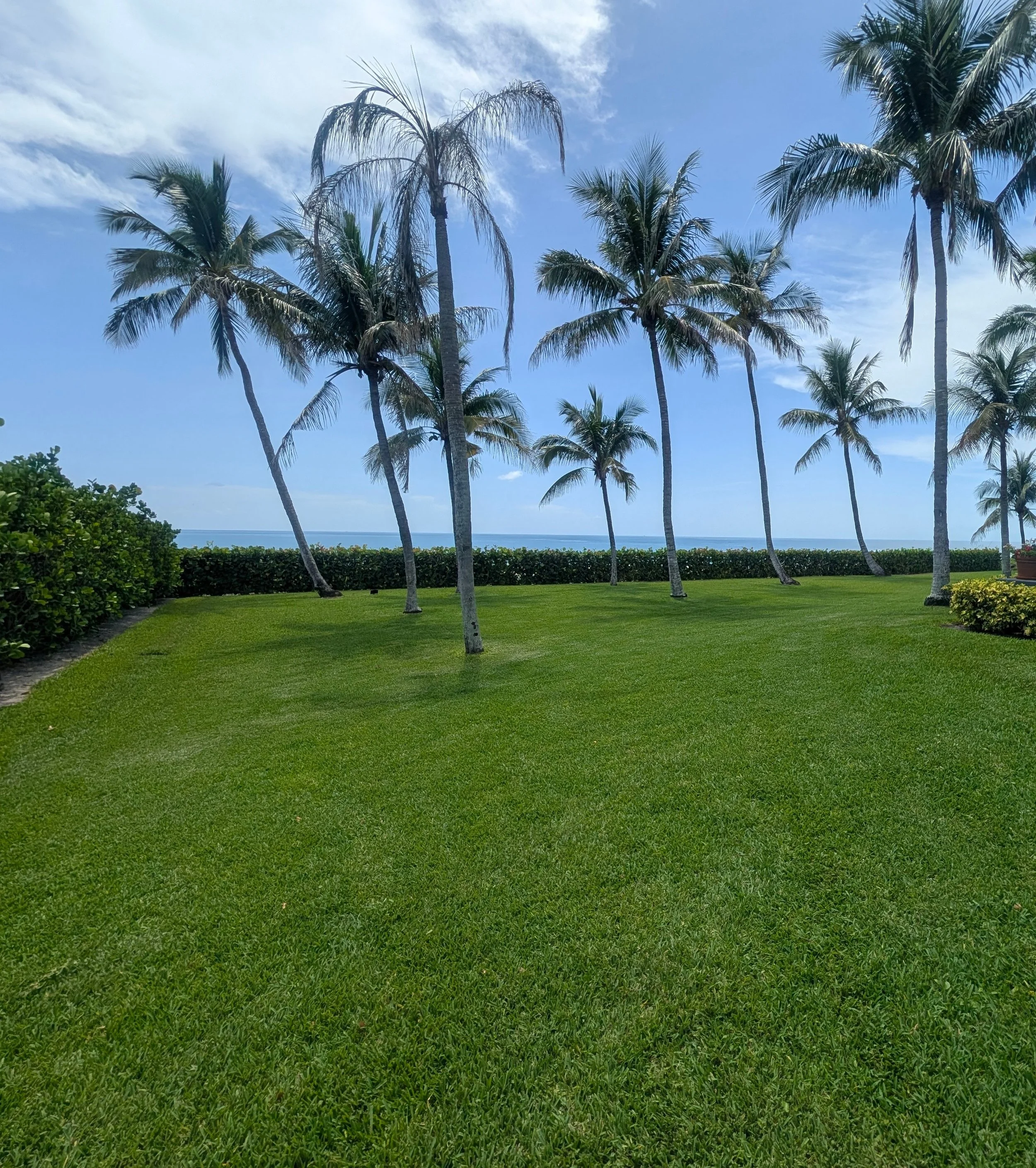 A beautiful day in Naples, FL