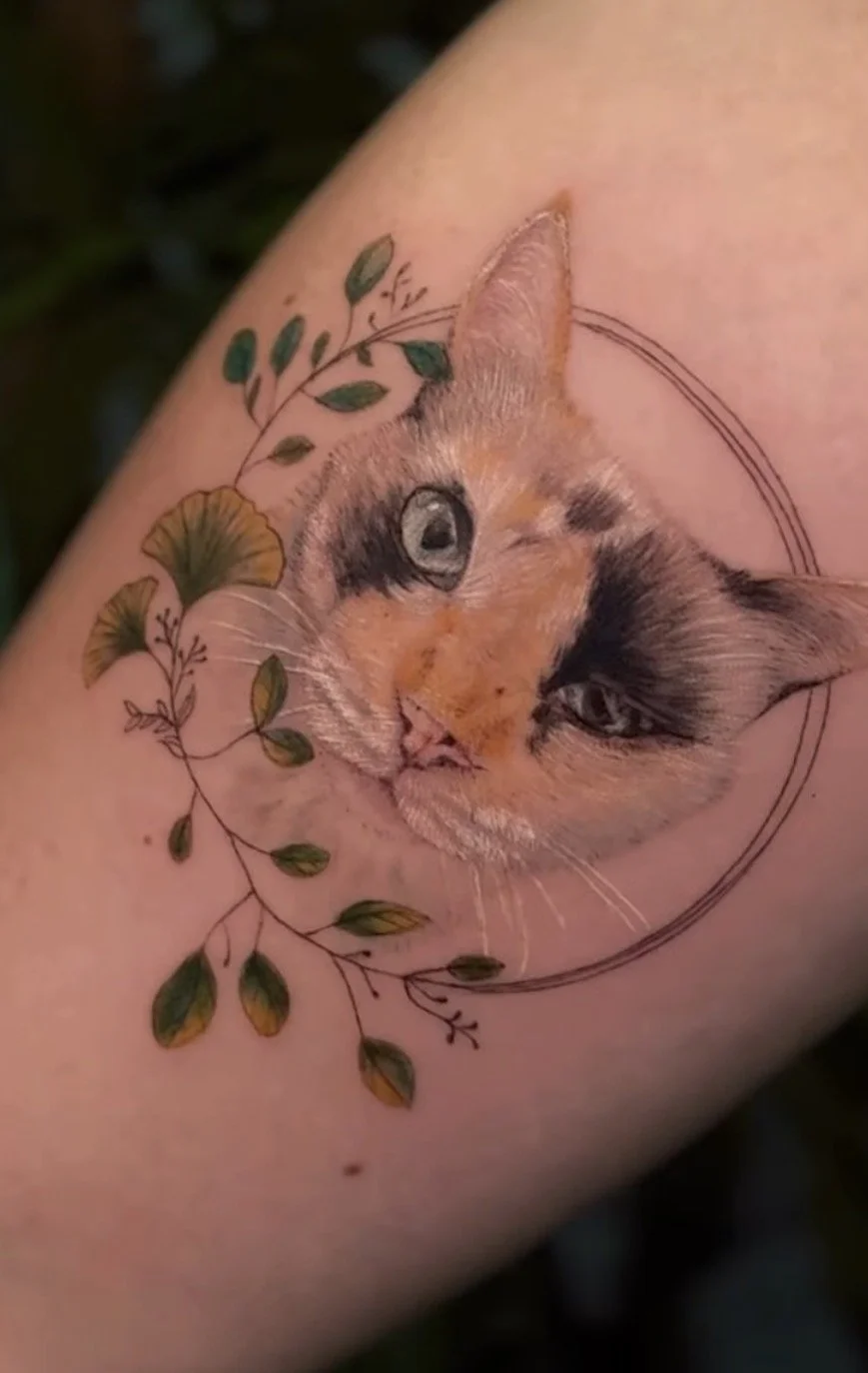 tatuaje microrealismo color gato realizado en purezas tattoo gandía