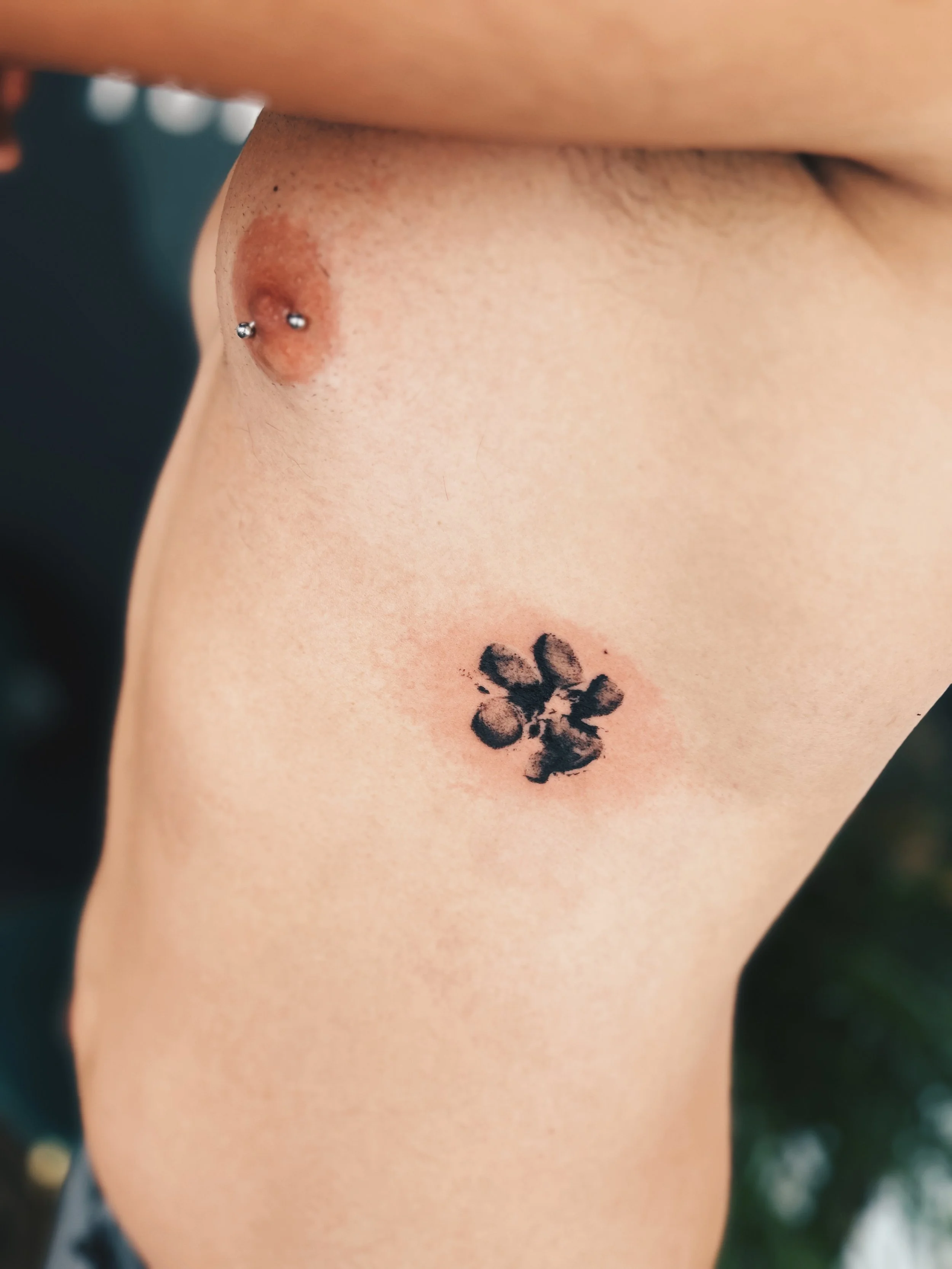 Tatuajes en Gandía para octubre: cómo reservar con antelación en Purezas Tattoo