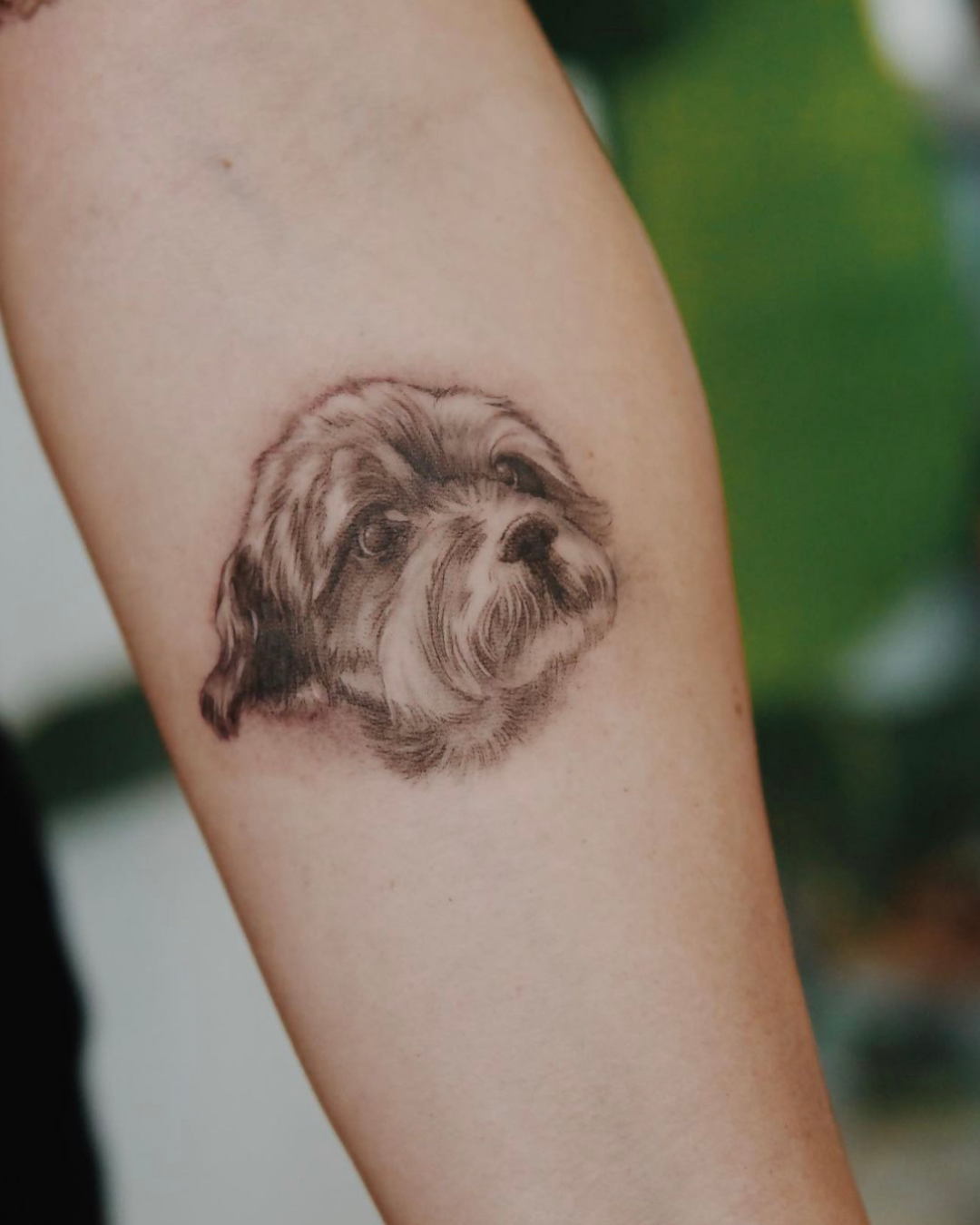 purezas-tattoo-microrealismo4.png
