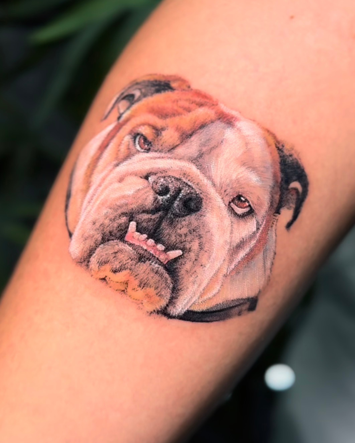 tatuaje microrealismo a color realizado en purezas tattoo