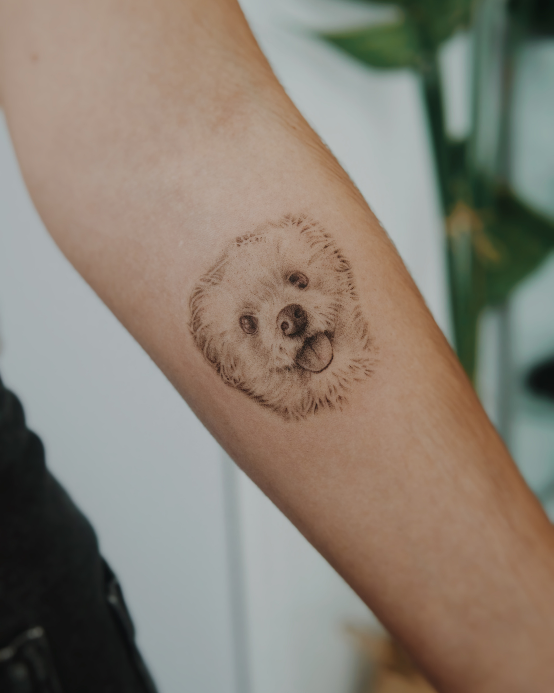 Tatuaje microrealista realizado en Purezas Tattoo Gandía