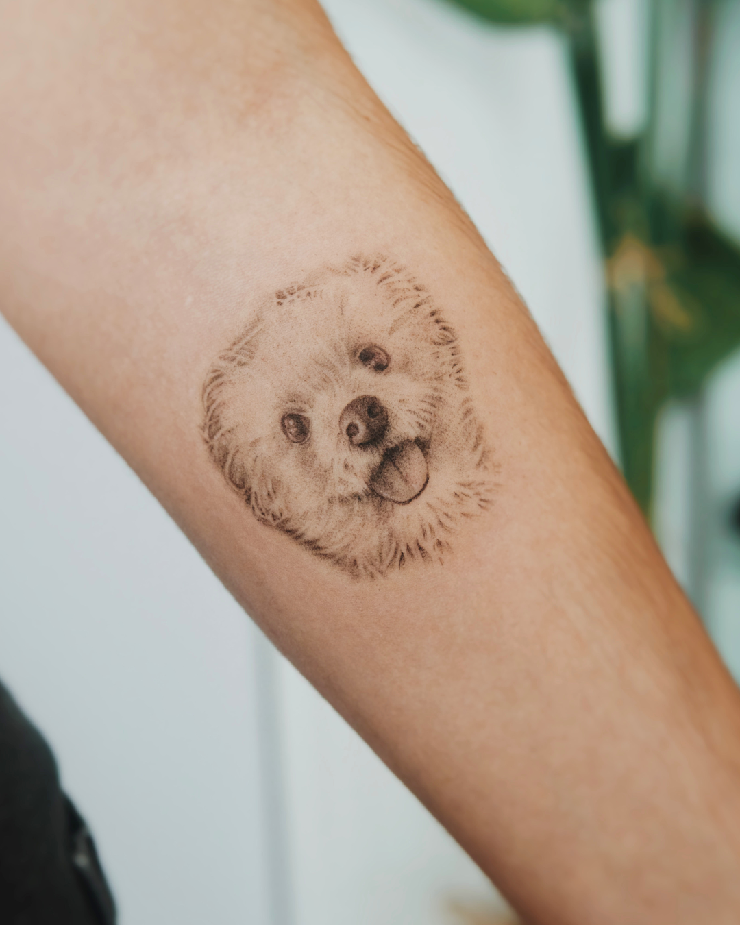 tatuaje microrealismo cara de perro realizado en Purezas Tattoo por Manuela medina
