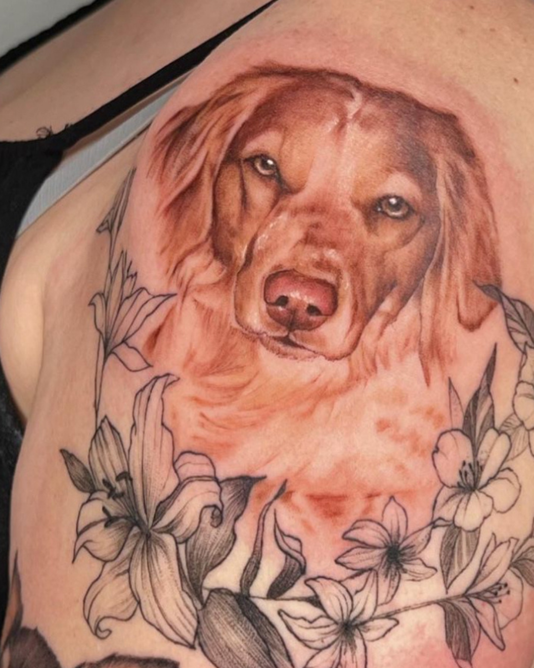 tatuaje microrealismo perro cara realizado en purezas tattoo gandía