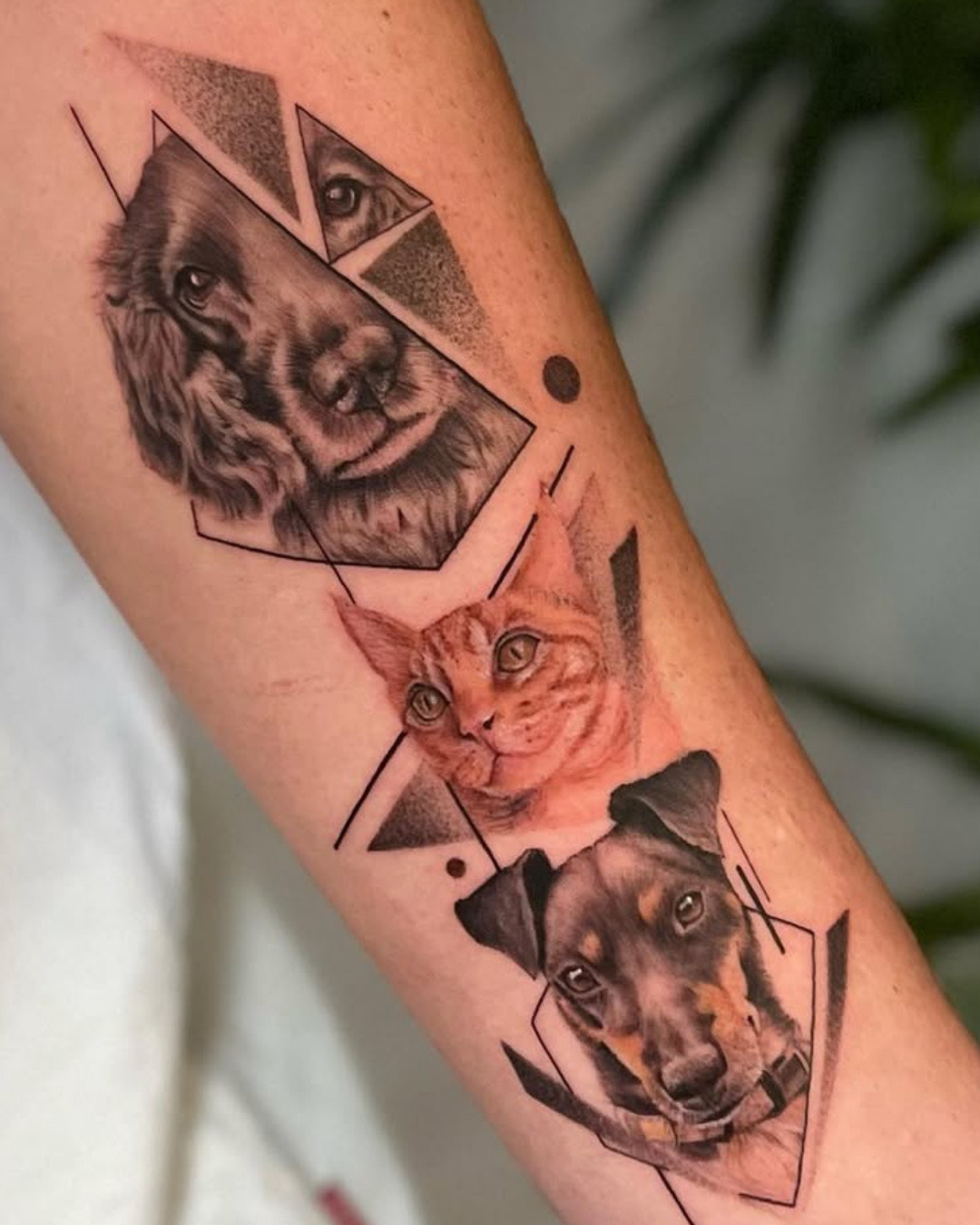 tatuaje microrealismo mascotas realizado en purezas tattoo gandía