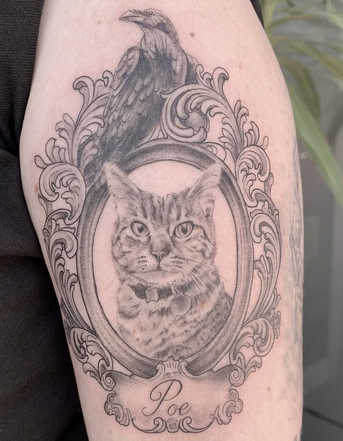 tatuaje gato por paula rosas en purezas tattoo gandía