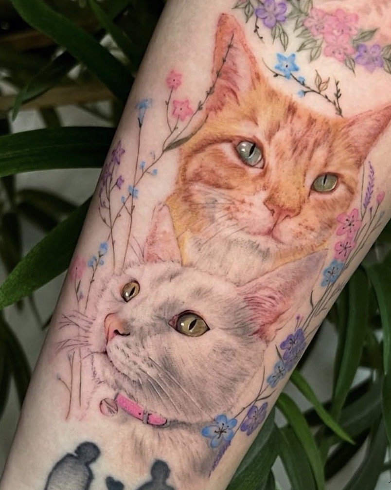 microrealismo a color gatos