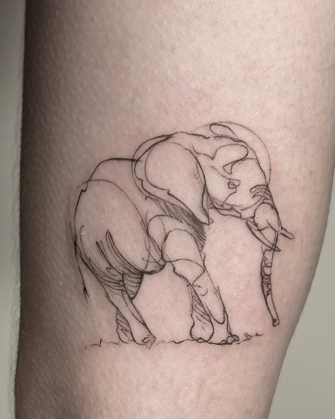 tatuaje fine line ilustración elefante