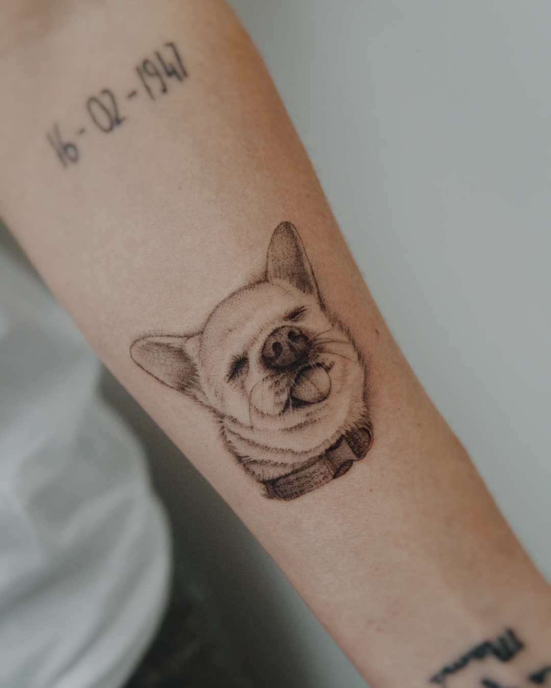tatuaje microrealismo perro realizado en purezas tattoo