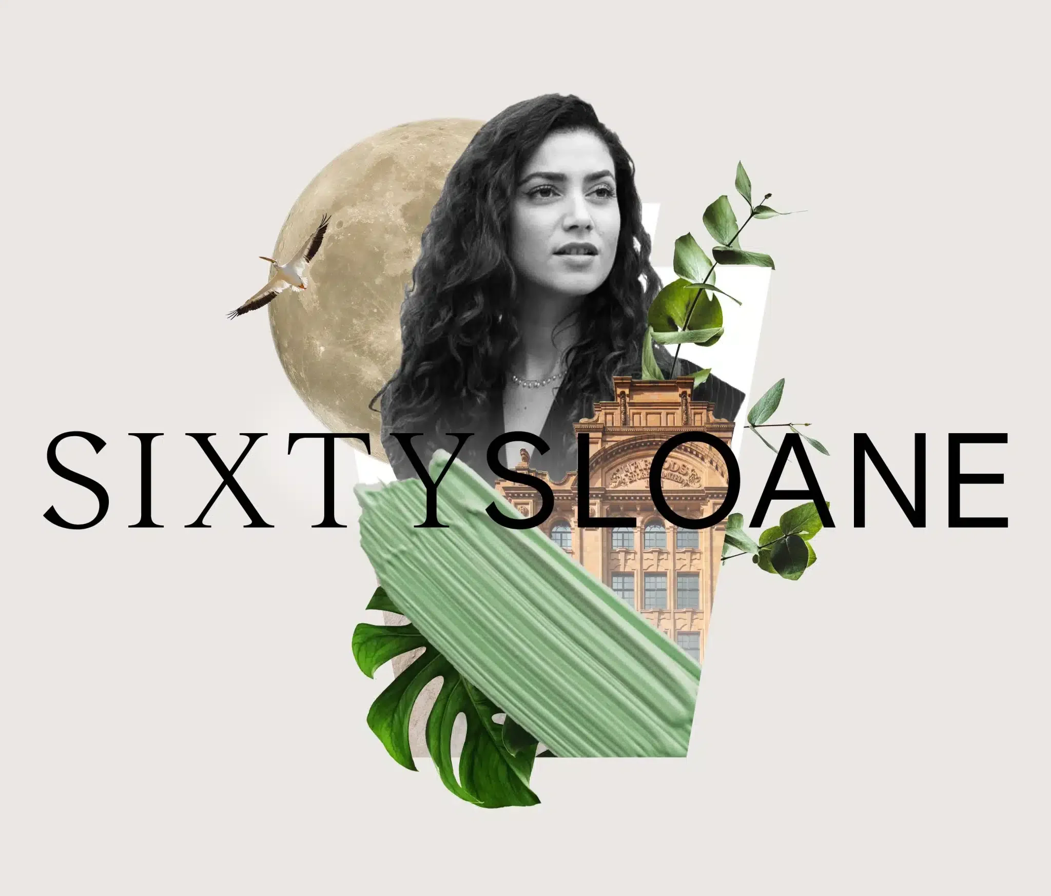 Sixty Sloane