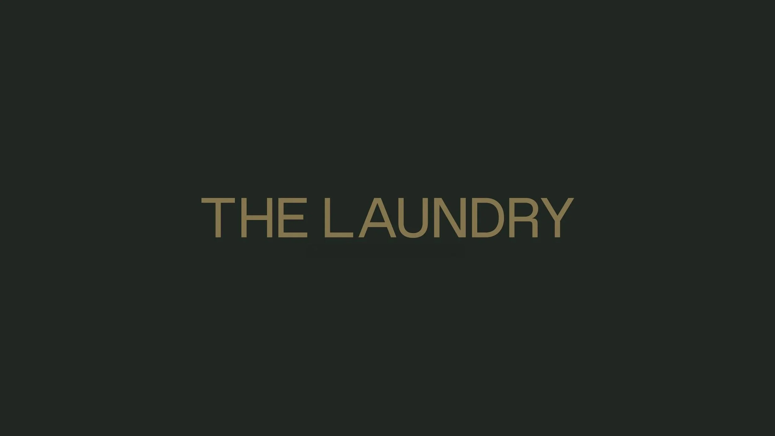 The Laundry
