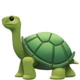 Cartoon turtle with green shell and limbs