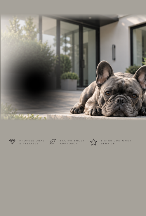 A French Bulldog lying down on a porch in front of a modern house with large glass doors and potted plants.