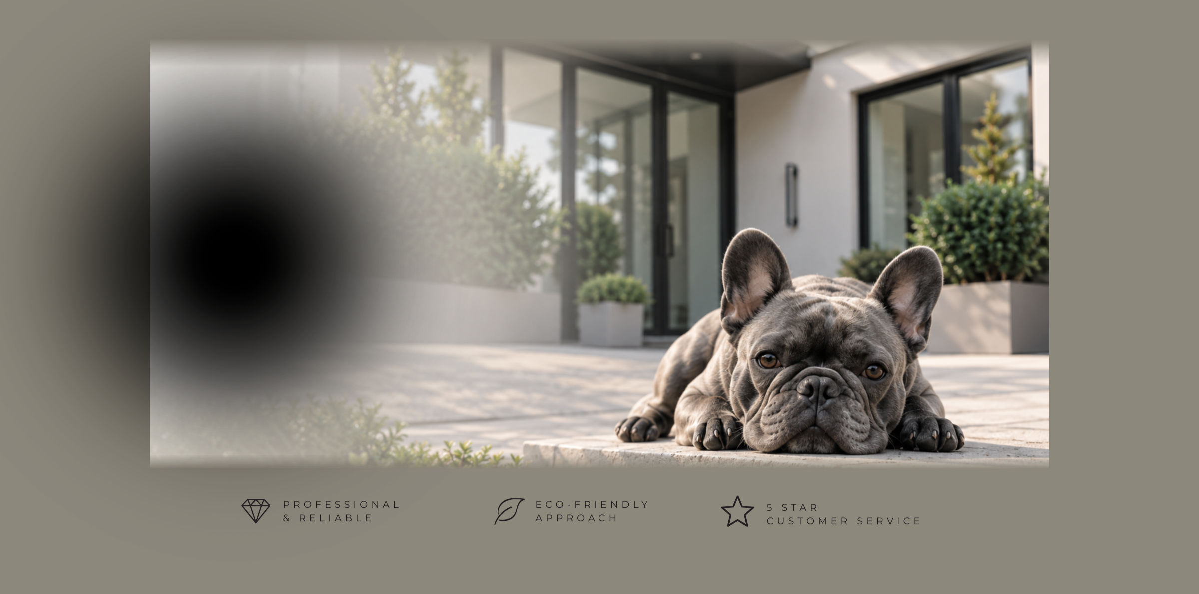 A French Bulldog lying on a paved outdoor area in front of a modern house with large glass windows and potted greenery.