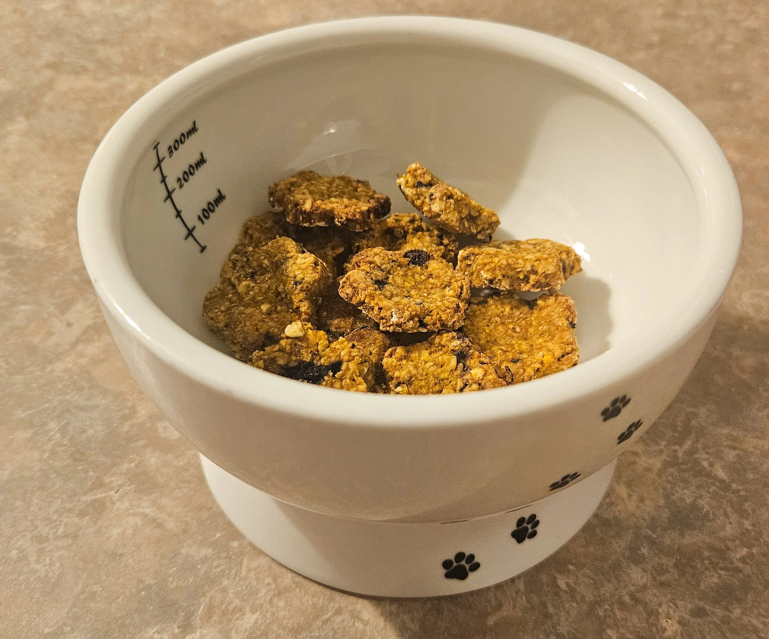 Pumpkin Blueberry Oat Dog Treats