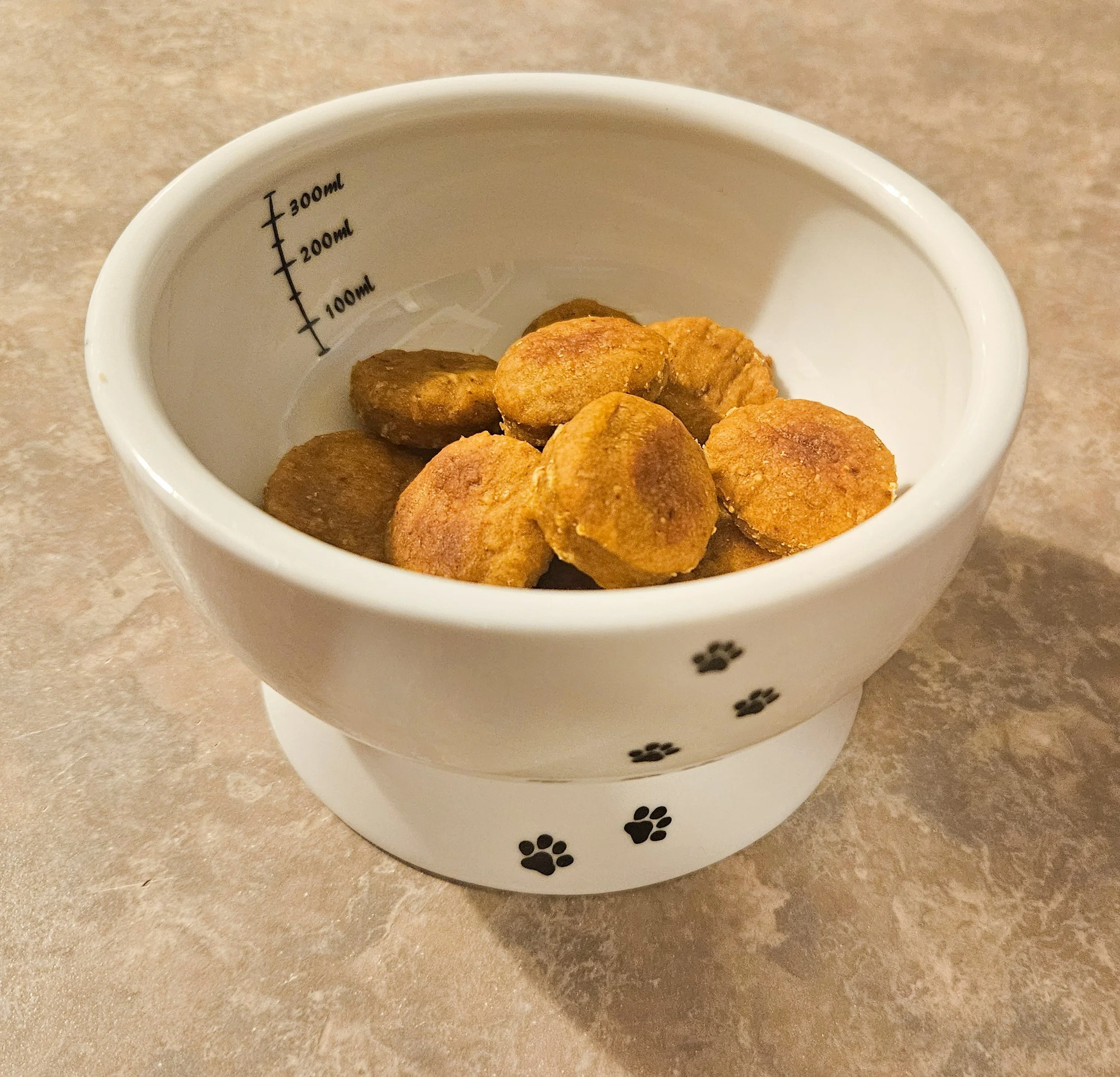 Pumpkin Peanut Butter Dog Treats