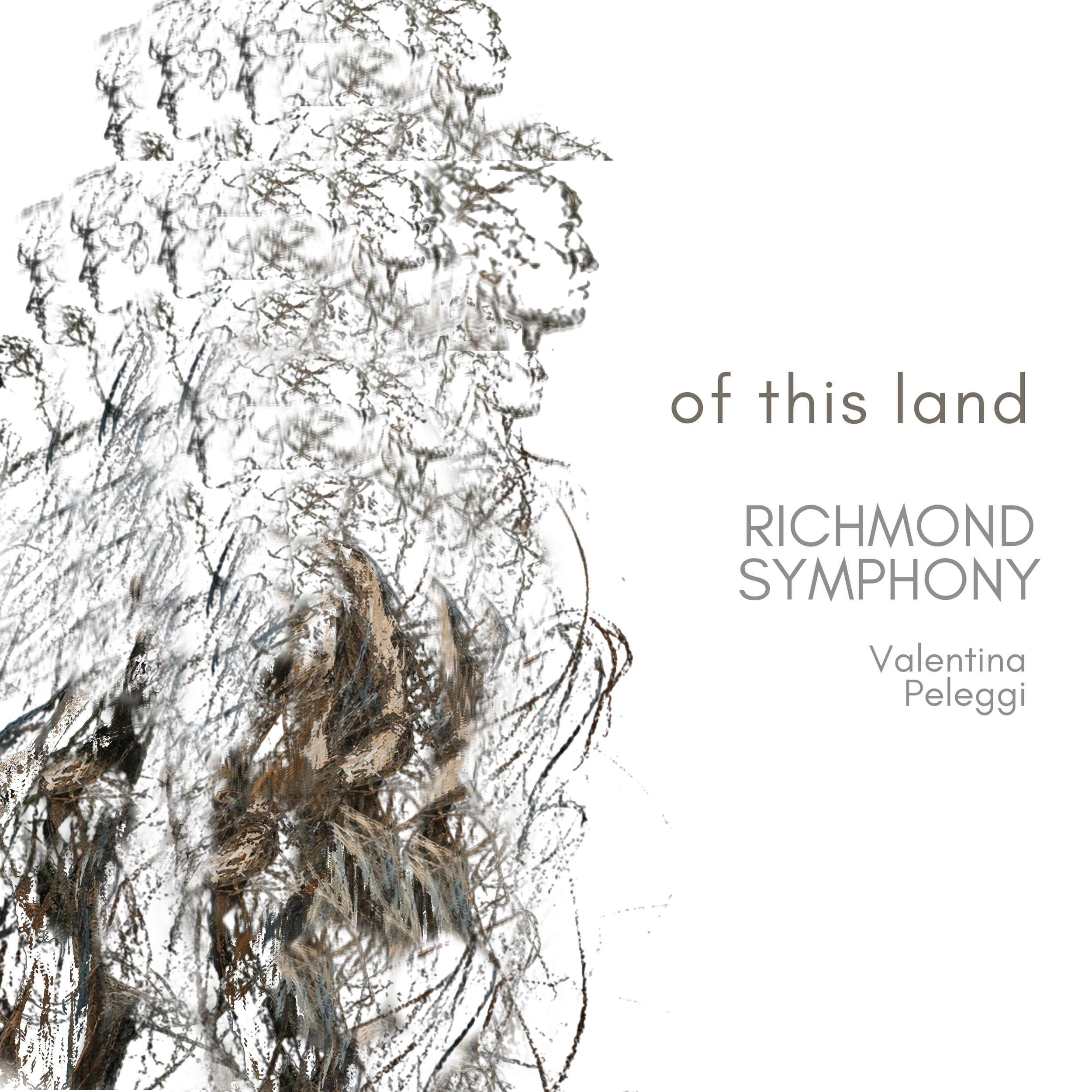 A stylized, artistic depiction of tree branches and leaves with varying shades of brown and gray, blending into a minimalist white background. Some text is partially visible on the right side, mentioning 'Valentin Peleggi' and 'Richmond Symphony'.
