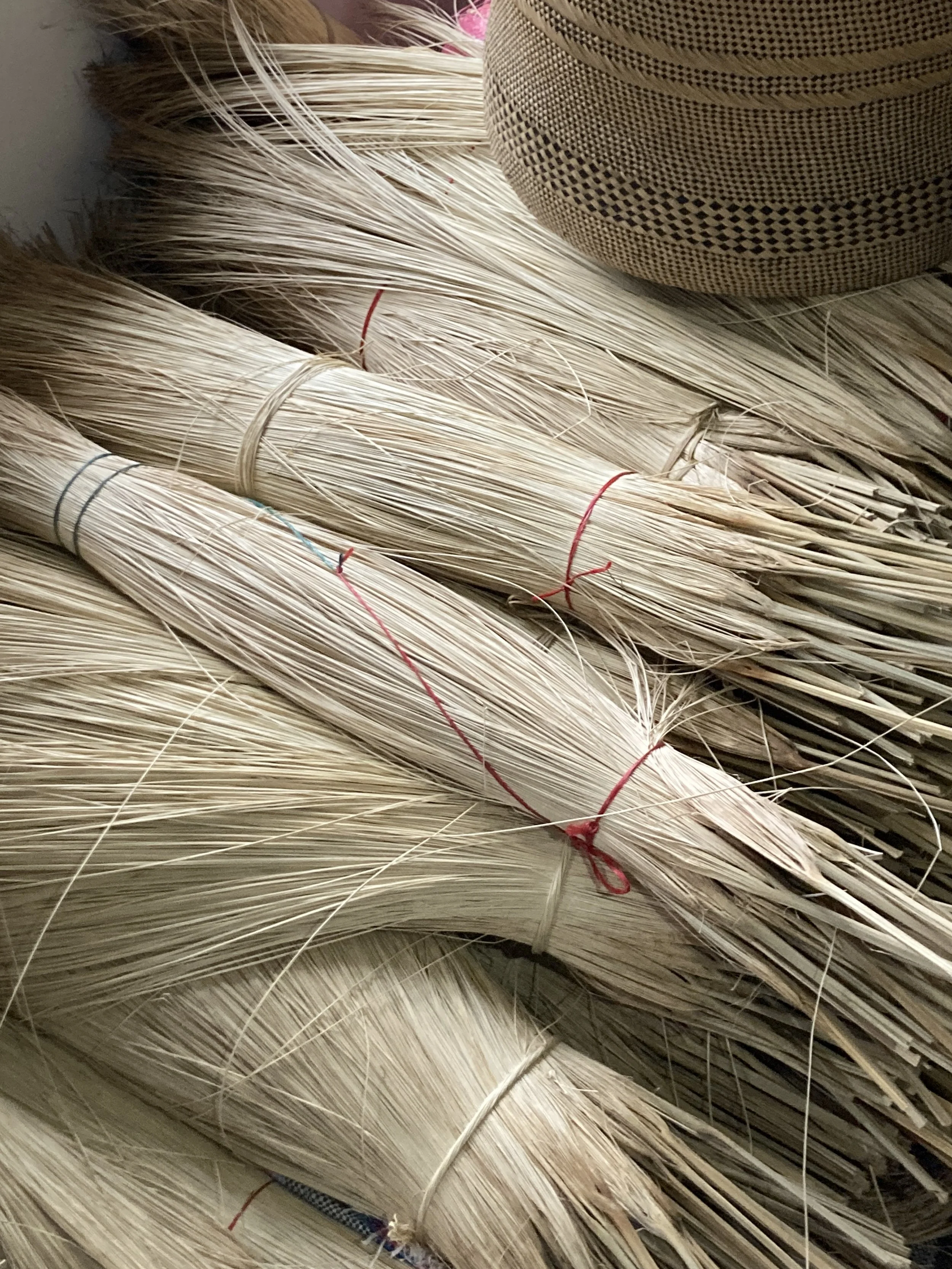 Bunches of dried, light-colored plant fibers tied together with red and other colored strings.