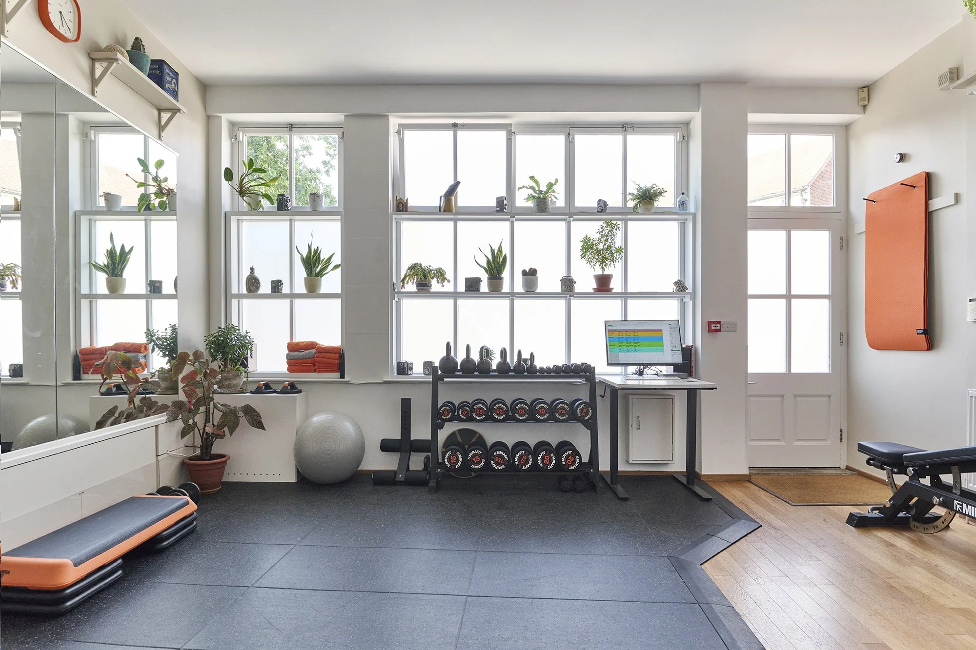 A bright gym room with large windows, potted plants, exercise equipment, a computer on a desk, and a wall-mounted orange exercise mat.  Personal Training for the over 50's. Ramsbury, Wiltshire.