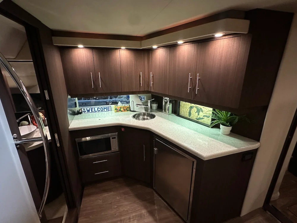 Small modern kitchen with dark brown cabinets, white countertop, microwave, small refrigerator, stainless steel sink, and potted plant on the counter