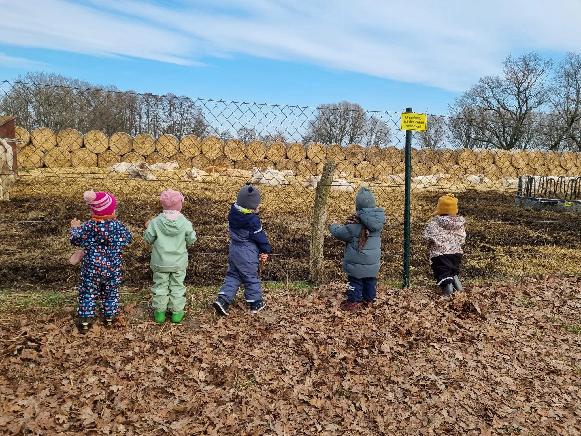 Fünf Kinder stehen hinter einer Hecke und betrachten einen umzäunten Bereich mit großen Holzstämmen im Freien, in einem parkähnlichen Waldgebiet. Es ist Winter, die Bäume sind kahl, und die Kinder tragen Winterkleidung.