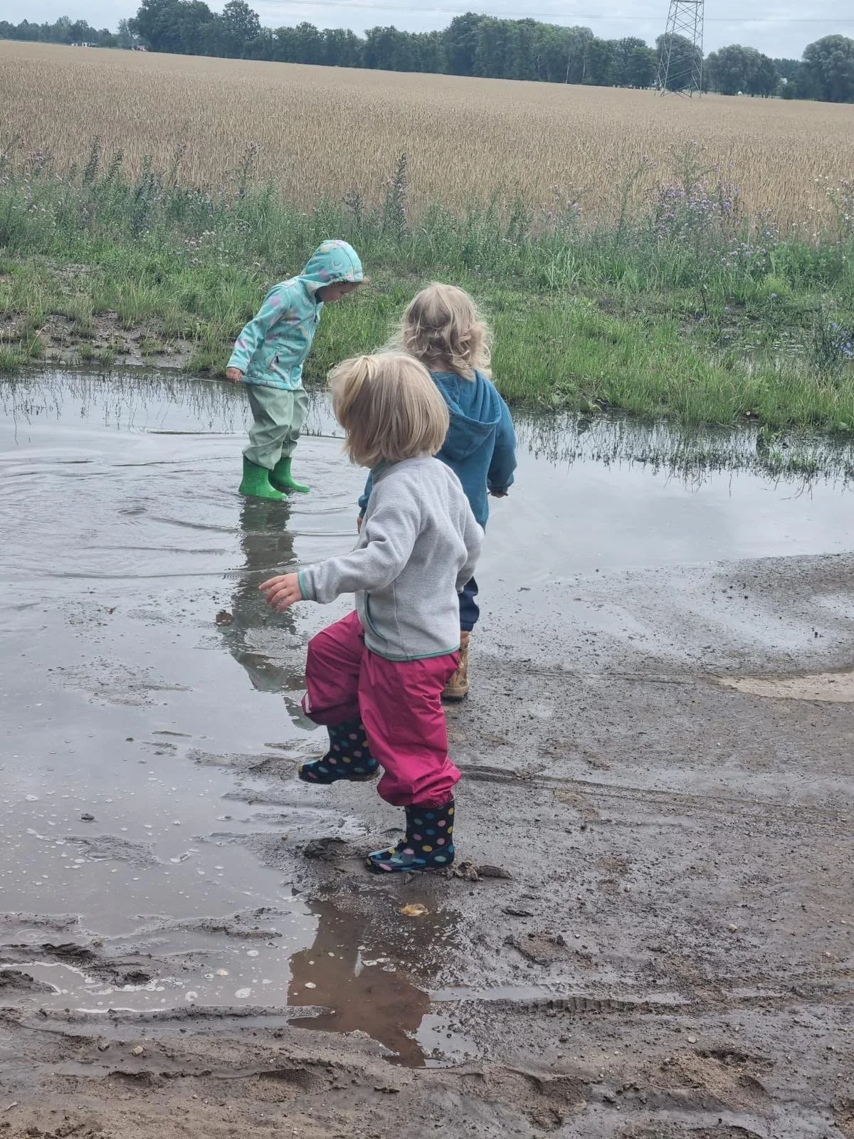Vier Kinder spielen im Wasser an einem Feldrand mit Getreide in der Ferne.