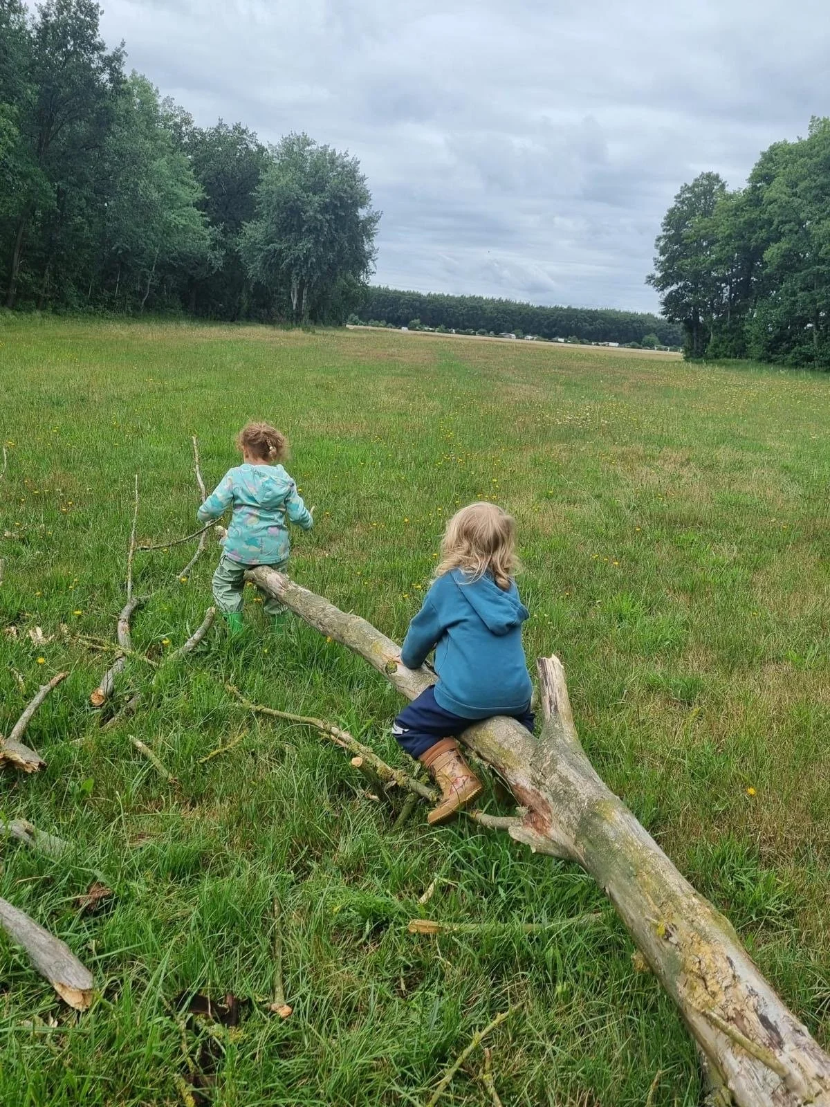 Zwei Kinder sitzen auf einem umgestürzten Baumstamm in einer grünen Wiese, umgeben von Bäumen, bei bewölktem Himmel, während sie im Freien spielen.