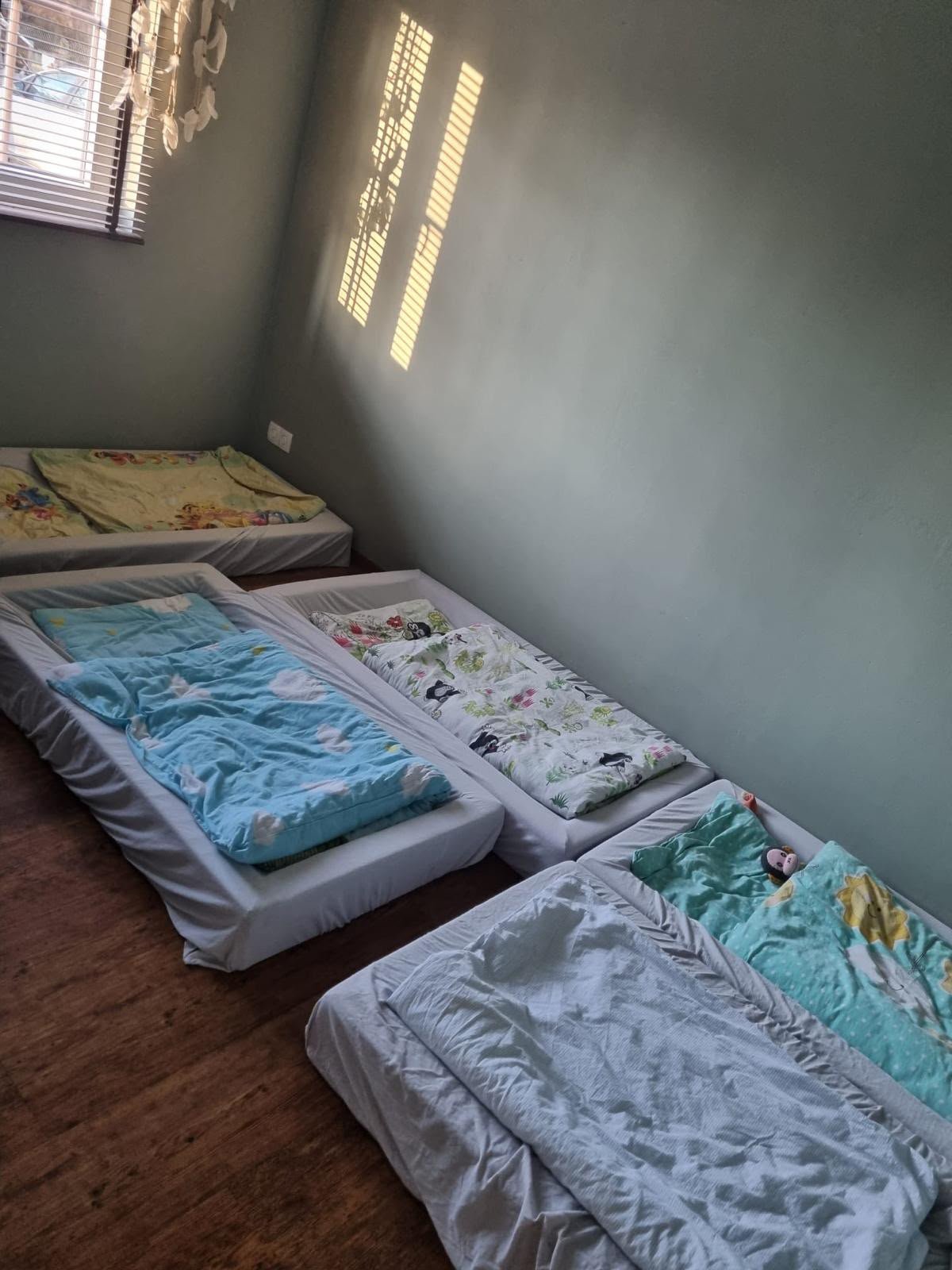 Mehrere Matratzen mit Decken und Kissen, auf dem Boden in einem Zimmer, Sonnenlicht fällt durch Fenster mit Rollläden, Wand ist grünlich.