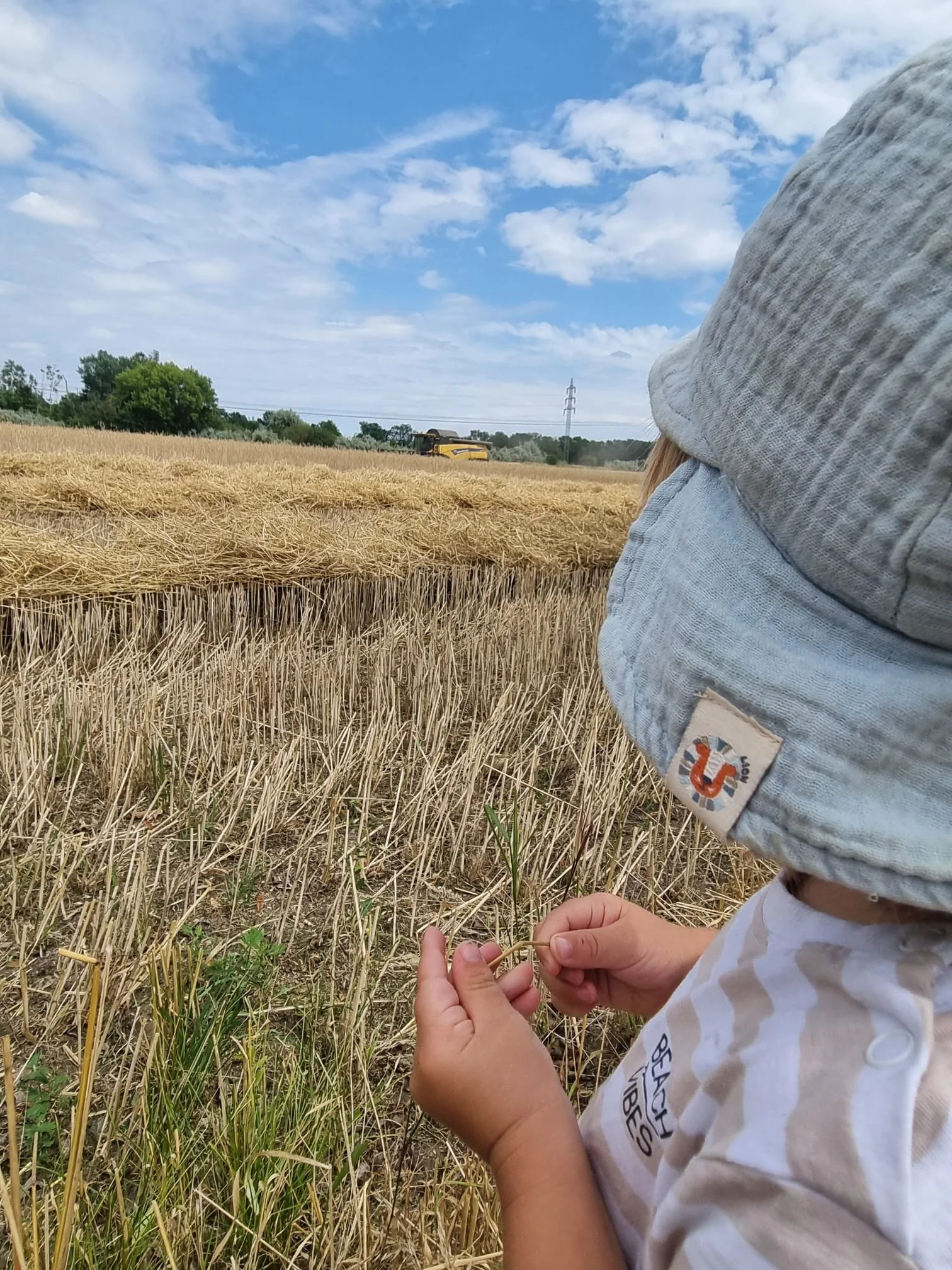 Ein Kind in einem weißen T-Shirt und grauer Mütze hält eine Strohhalm in den Händen, in einem Weizenfeld bei blauem Himmel mit Wolken.