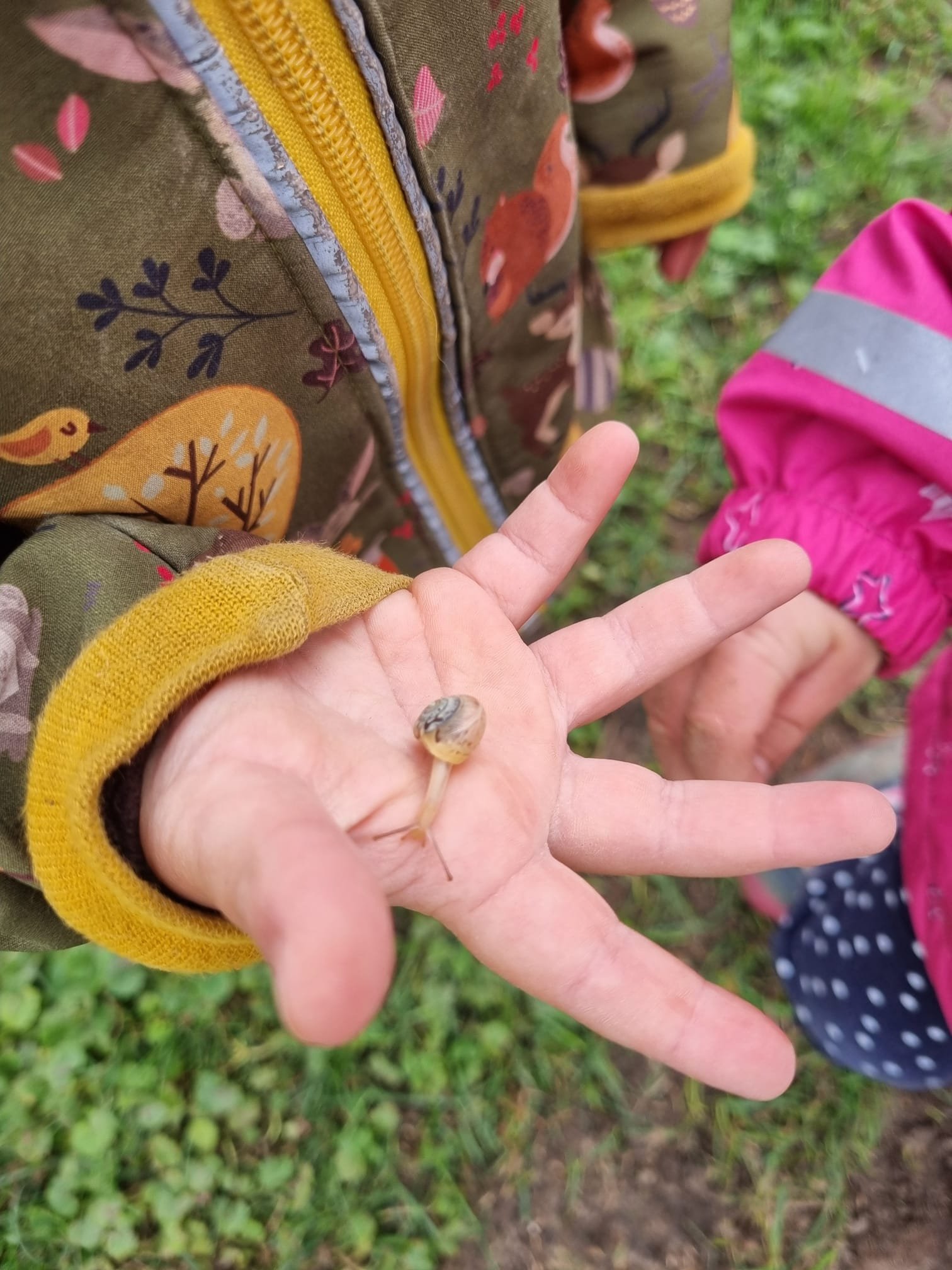 Nahaufnahme einer Kinderhand, die eine kleine Schnecke hält, mit einer grünen Wiese im Hintergrund.