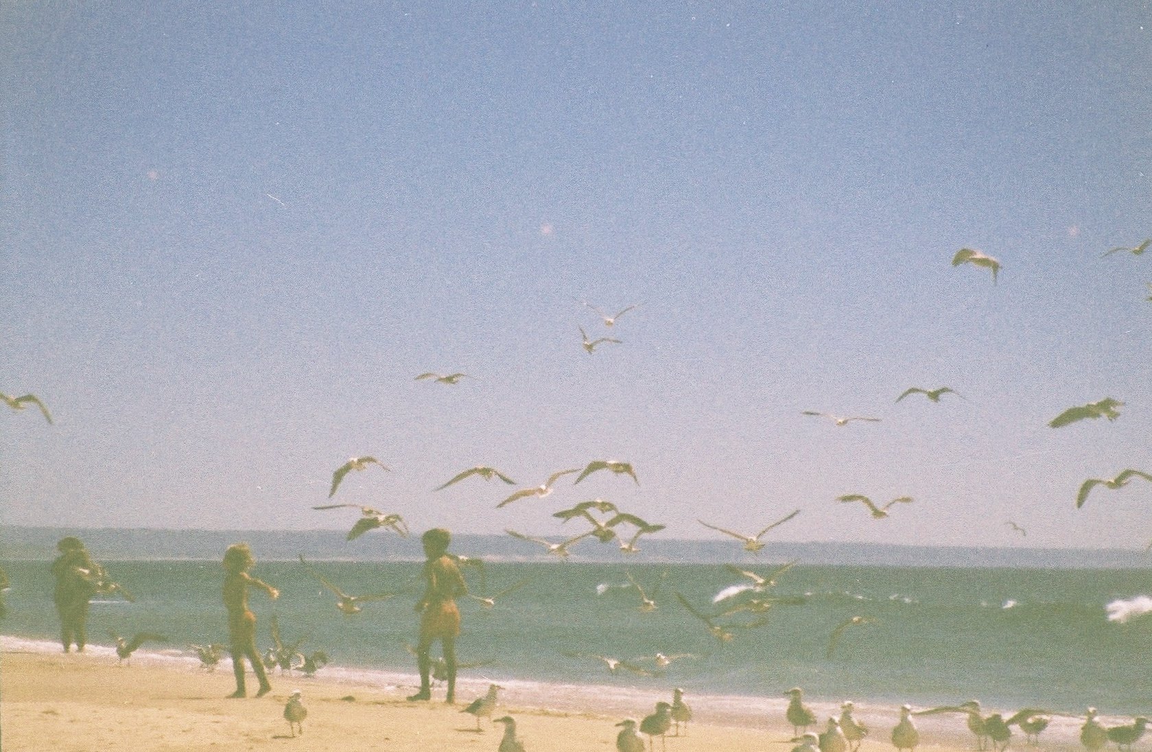 IMG_0814.JPEG