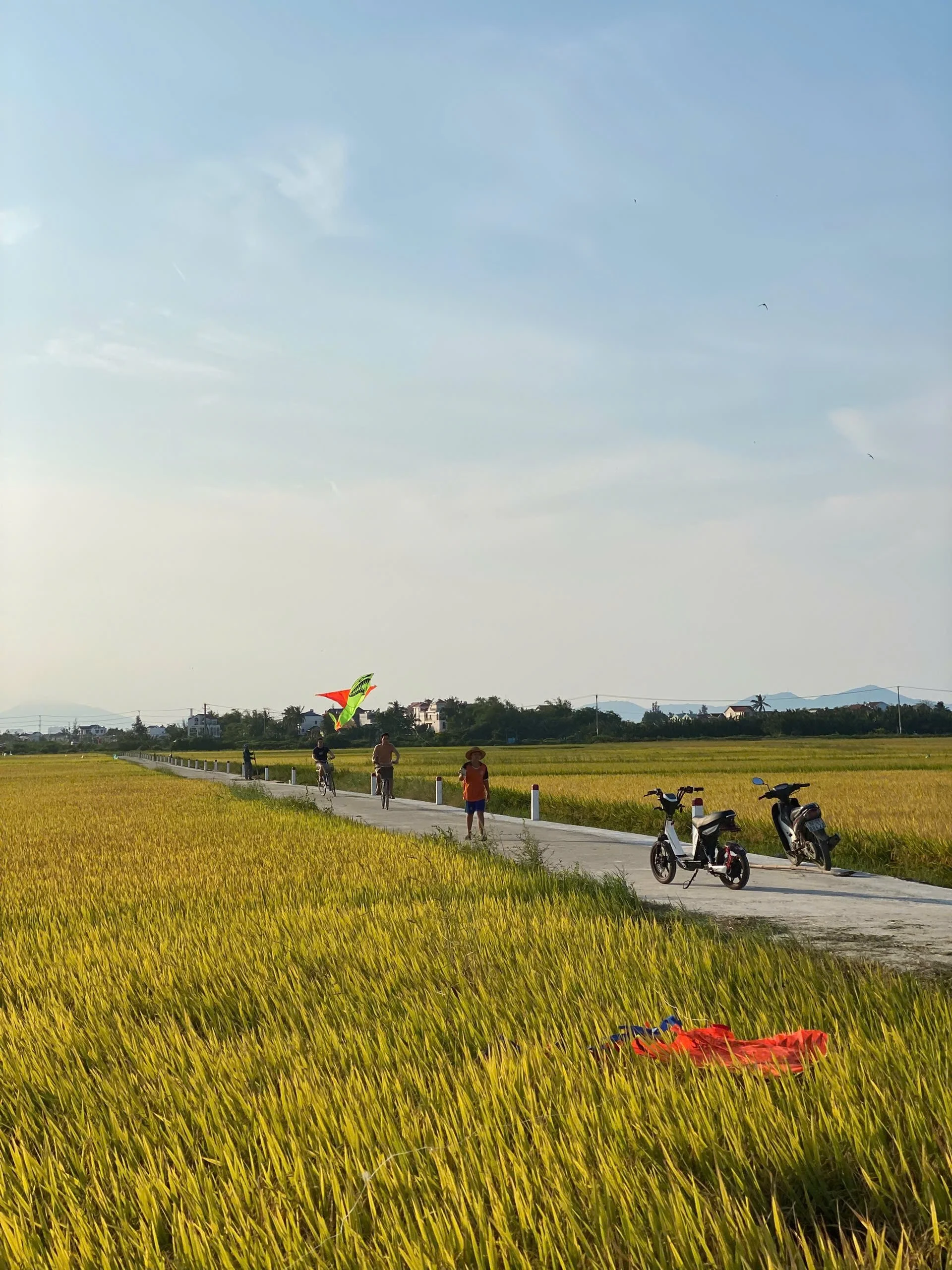 tourism vietnam development local community